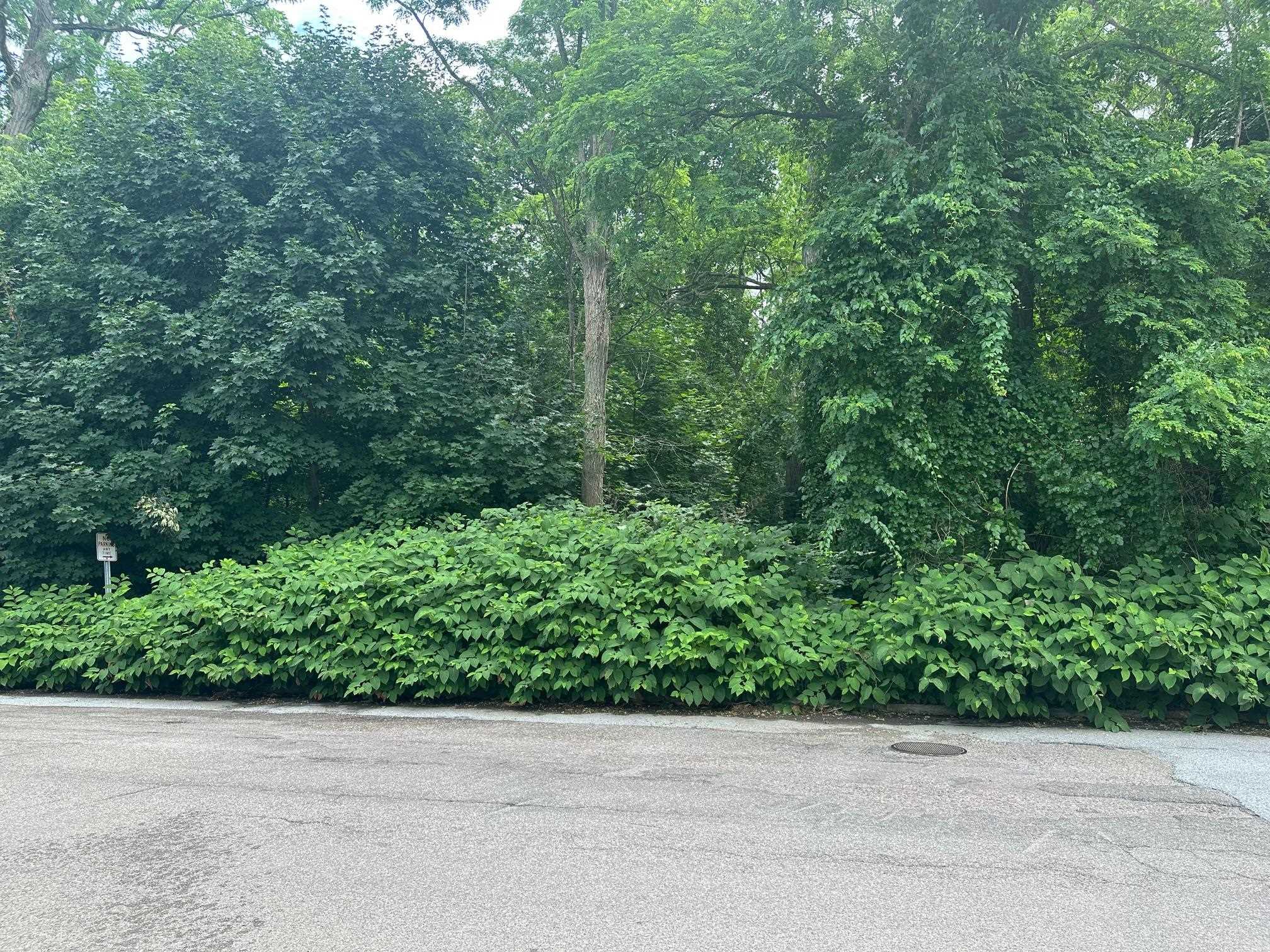 Photo 3 of Land for sale at 451 Ethan Allen Pkwy, Burlington, VT 05408 | MLS# 5111538 | Listing updated on 2026-09-25