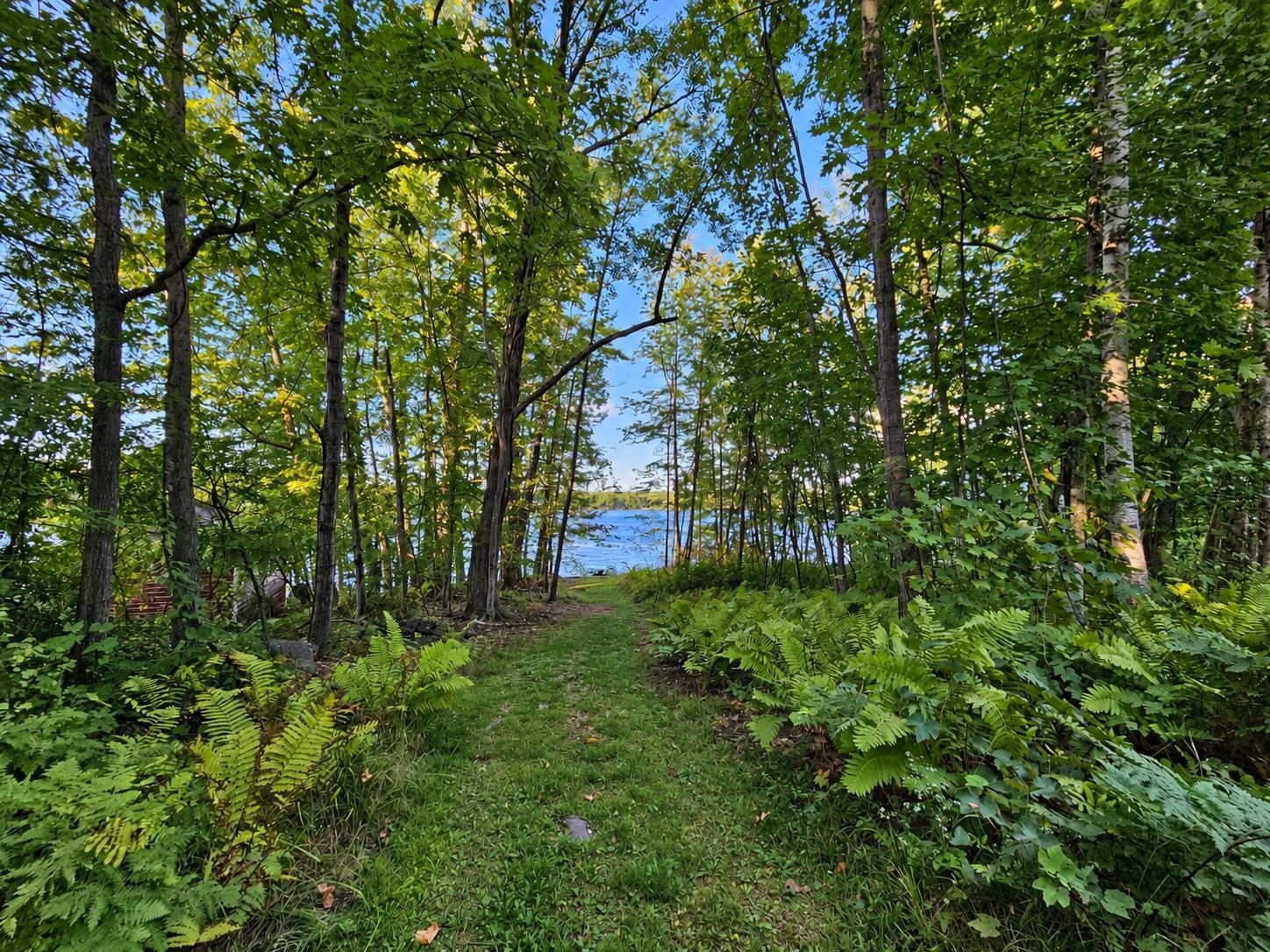 Photo 3 of Single family home for sale at 85 Governor Wentworth Hwy, Mirror Lake, NH 03853 | MLS# 5111595 | Listing updated on 2026-09-25