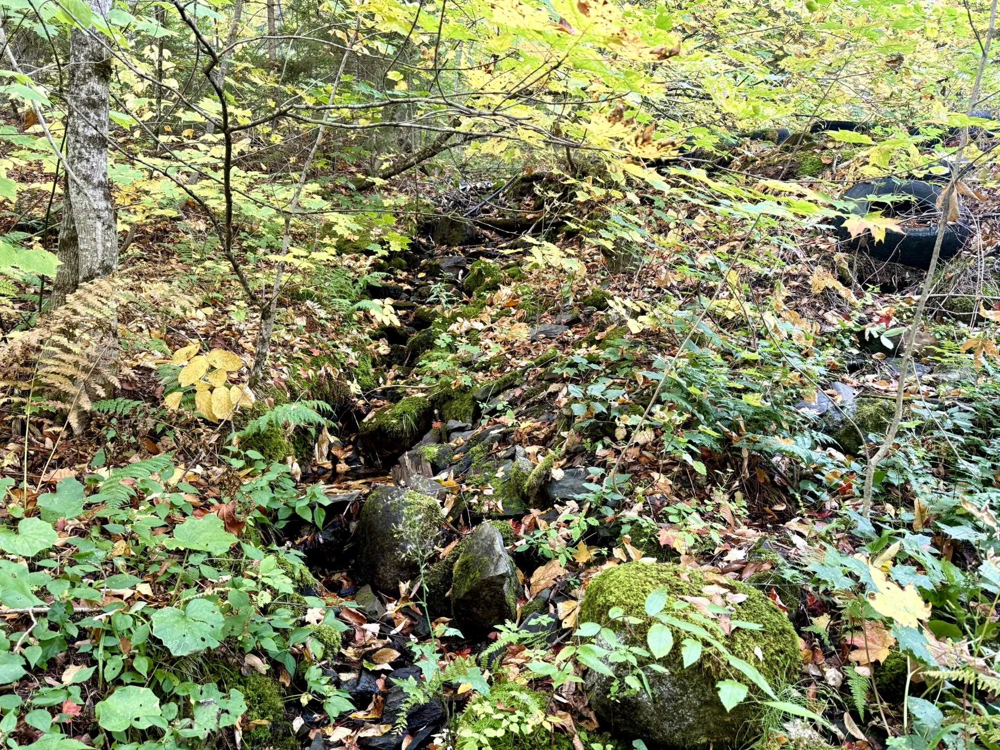 Photo 2 of Land for sale at 369 Hardscrabble Mountain Rd, Sheffield, VT 05866 | MLS# 5111677 | Listing updated on 2026-09-29