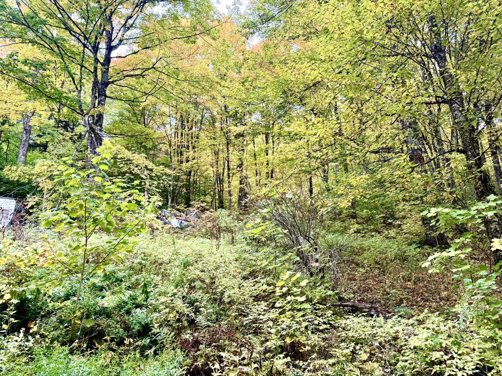 Photo 3 of Land for sale at 369 Hardscrabble Mountain Rd, Sheffield, VT 05866 | MLS# 5111677 | Listing updated on 2026-09-29