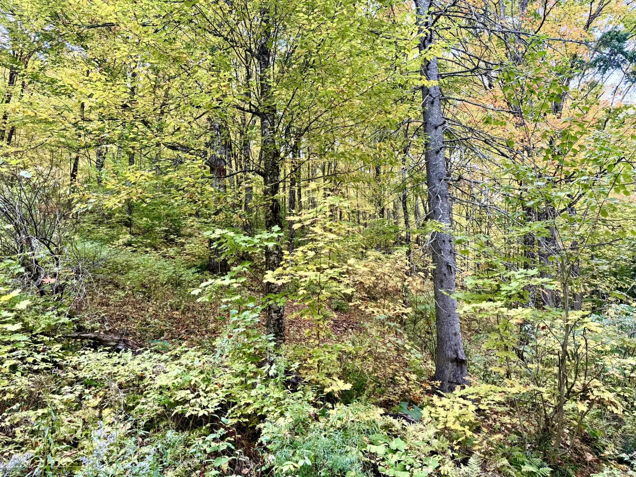 Photo 4 of Land for sale at 369 Hardscrabble Mountain Rd, Sheffield, VT 05866 | MLS# 5111677 | Listing updated on 2026-09-29