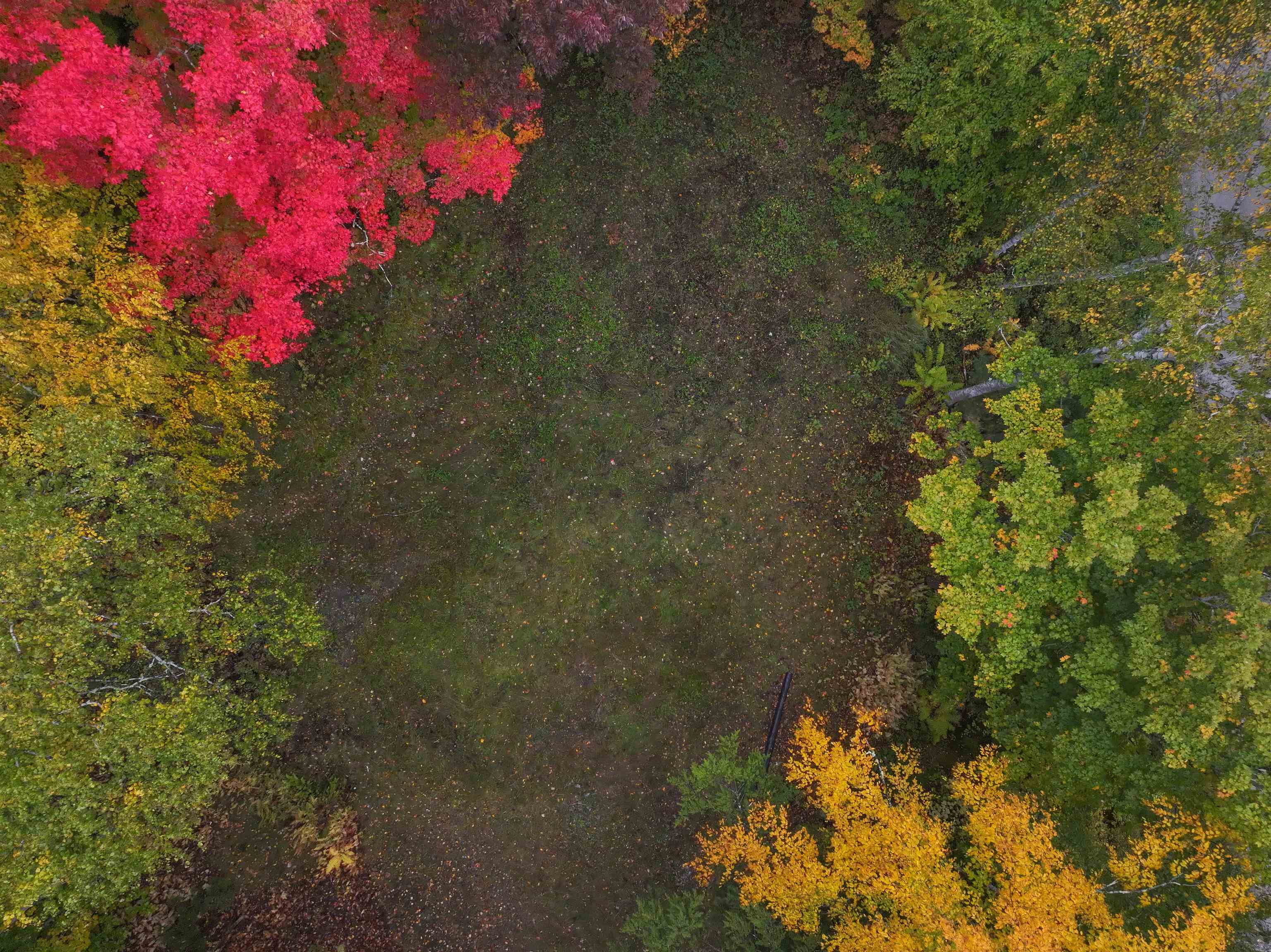 Photo 4 of Land for sale at 626 Beach Rd, Morrisville, VT 05661 | MLS# 5111696 | Listing updated on 2026-10-06