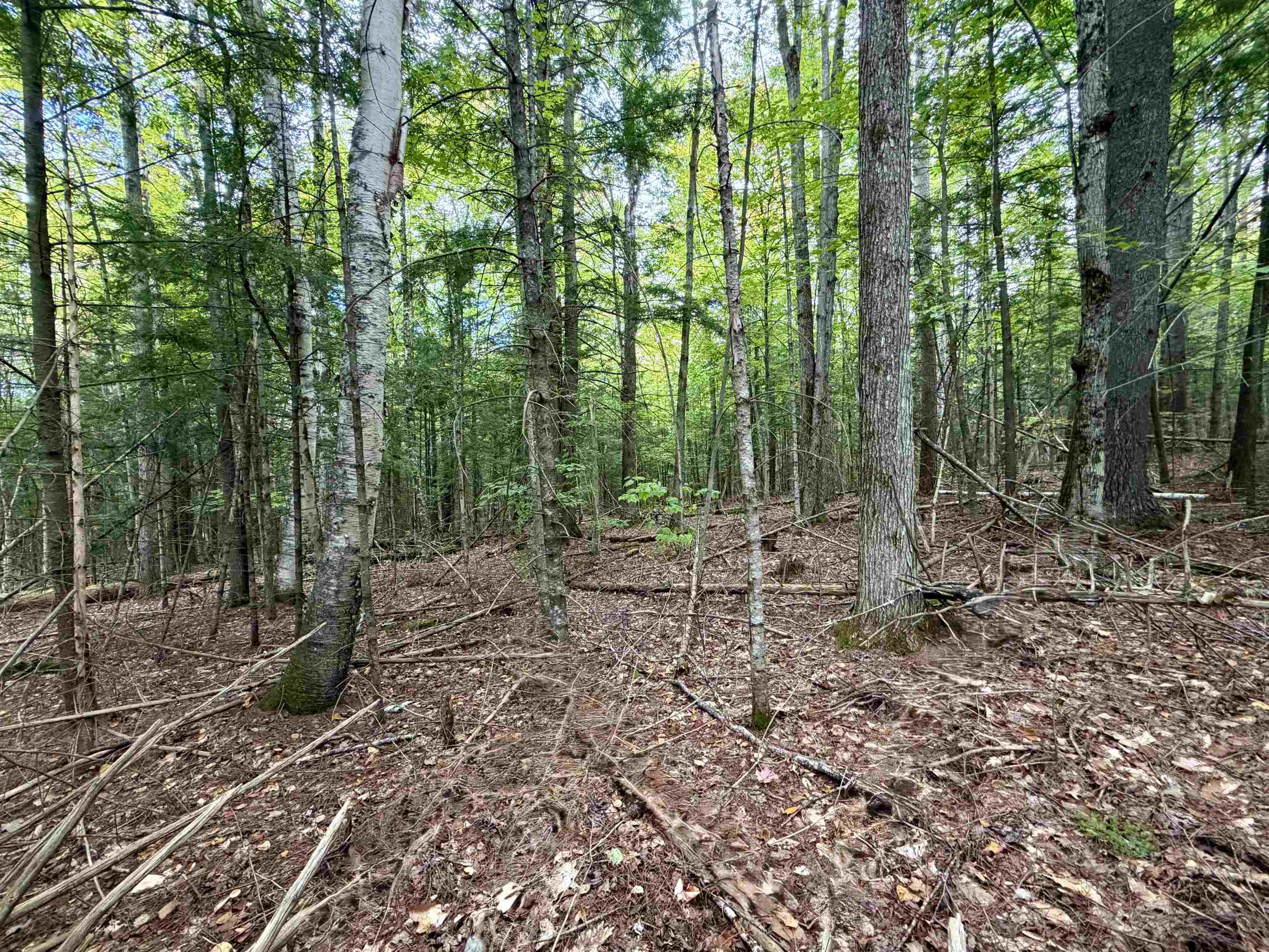 Windmill Road, Campton, NH photo 2