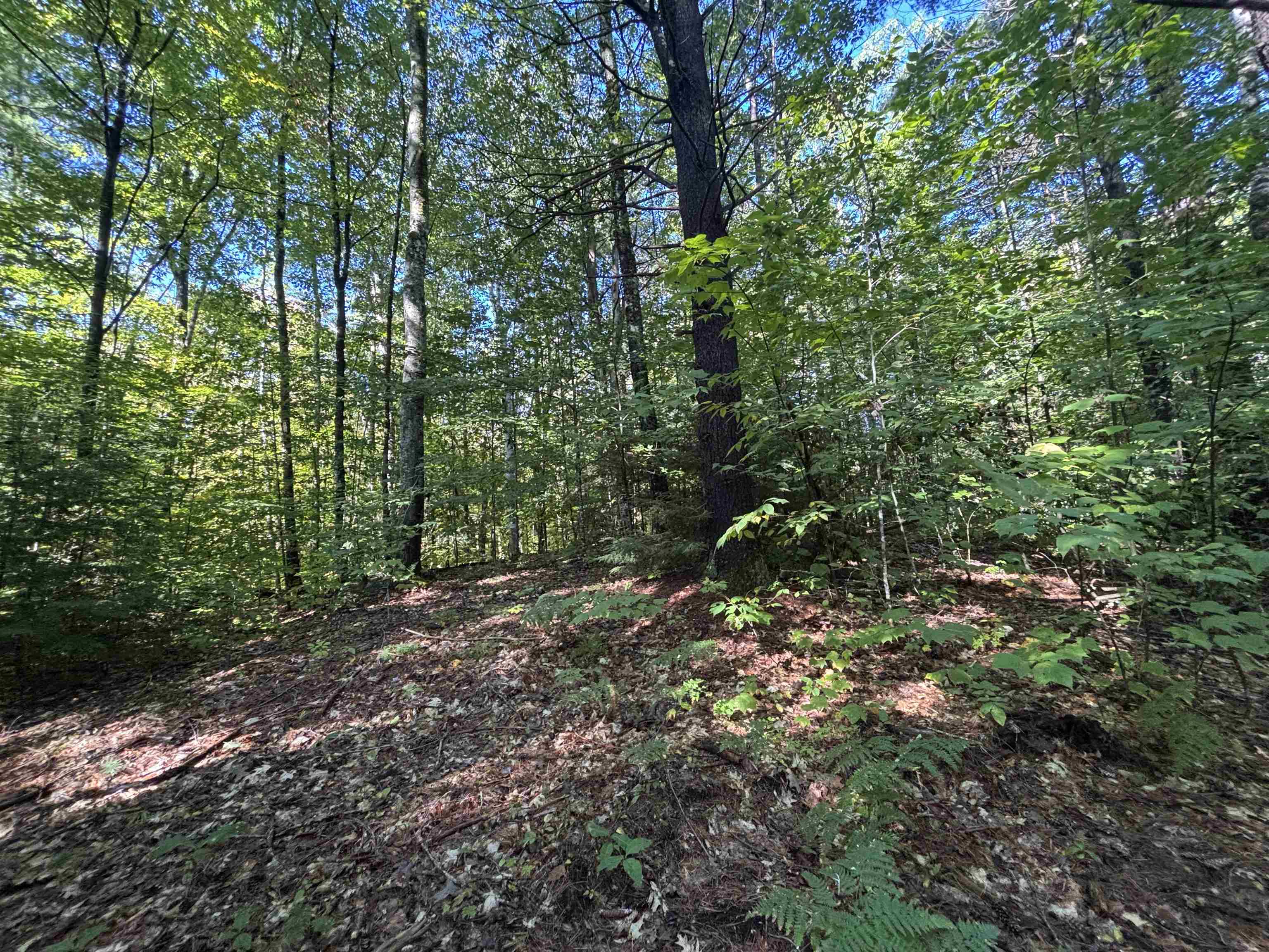 Photo 3 of Land for sale at 0 Cutoff Rd, Sanbornton, NH 03269 | MLS# 5111758 | Listing updated on 2026-09-28