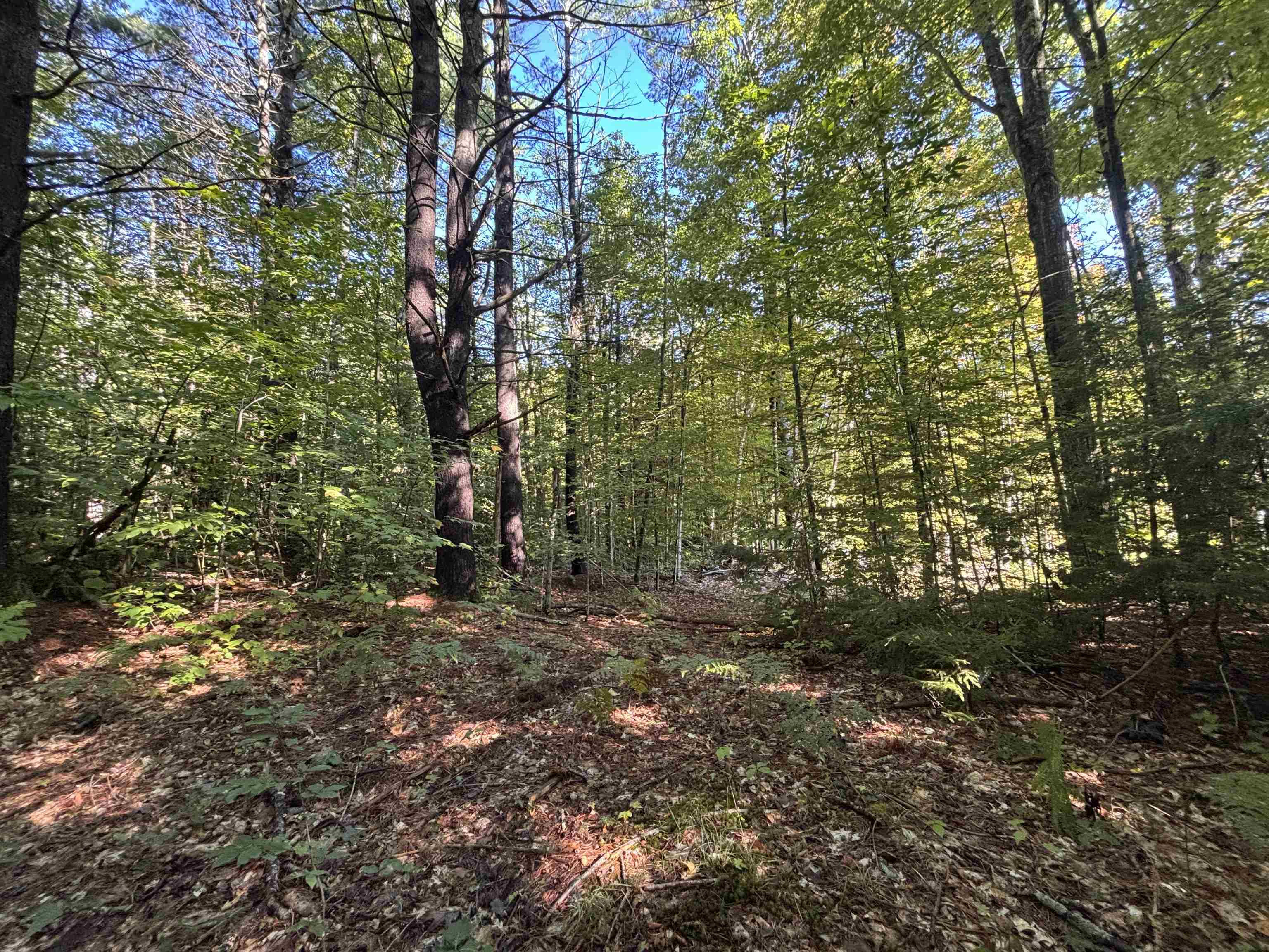 Photo 3 of Land for sale at 0 Cutoff Rd, Sanbornton, NH 03269 | MLS# 5111758 | Listing updated on 2026-09-28