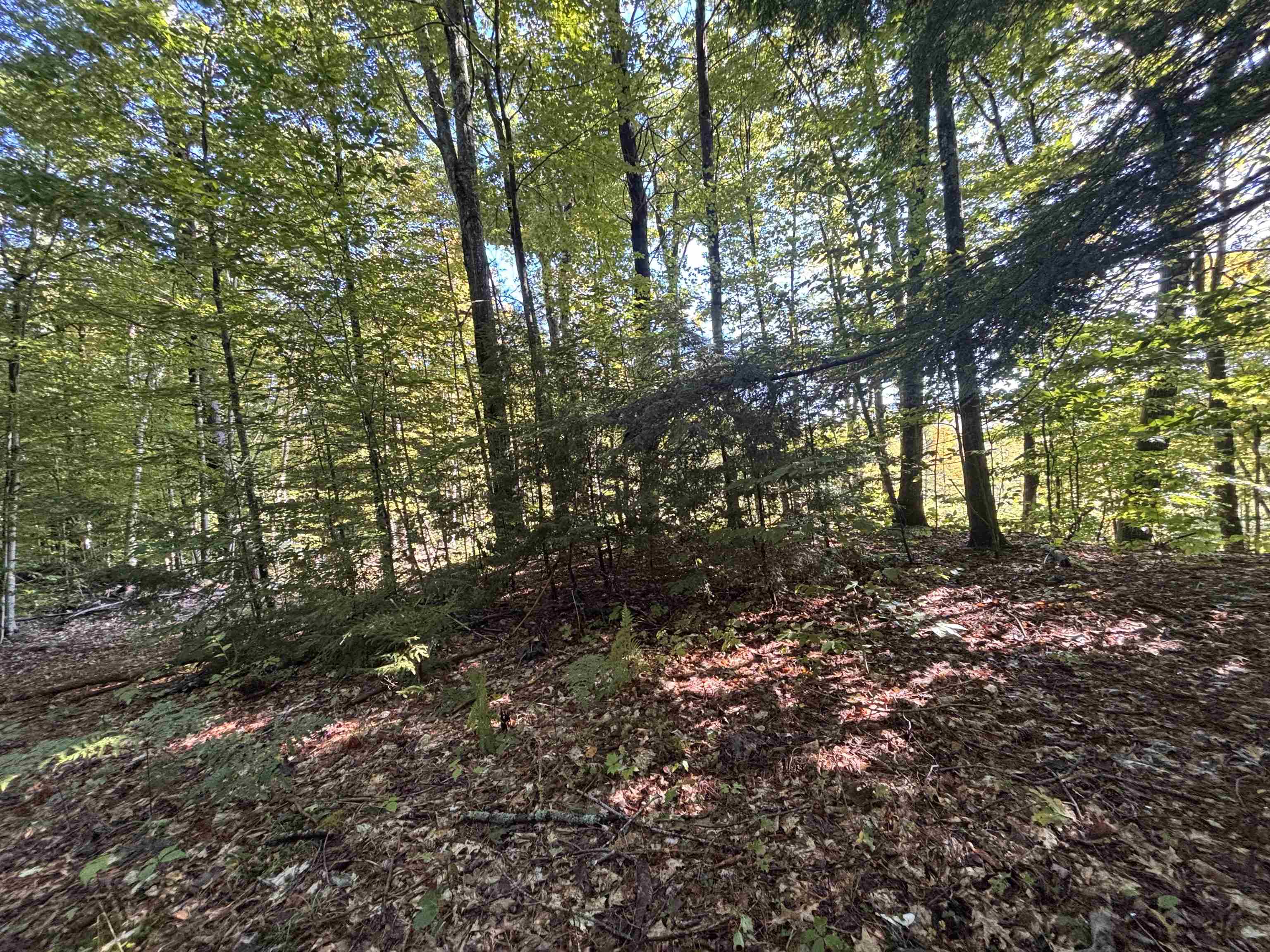 Photo 4 of Land for sale at 0 Cutoff Rd, Sanbornton, NH 03269 | MLS# 5111758 | Listing updated on 2026-09-28