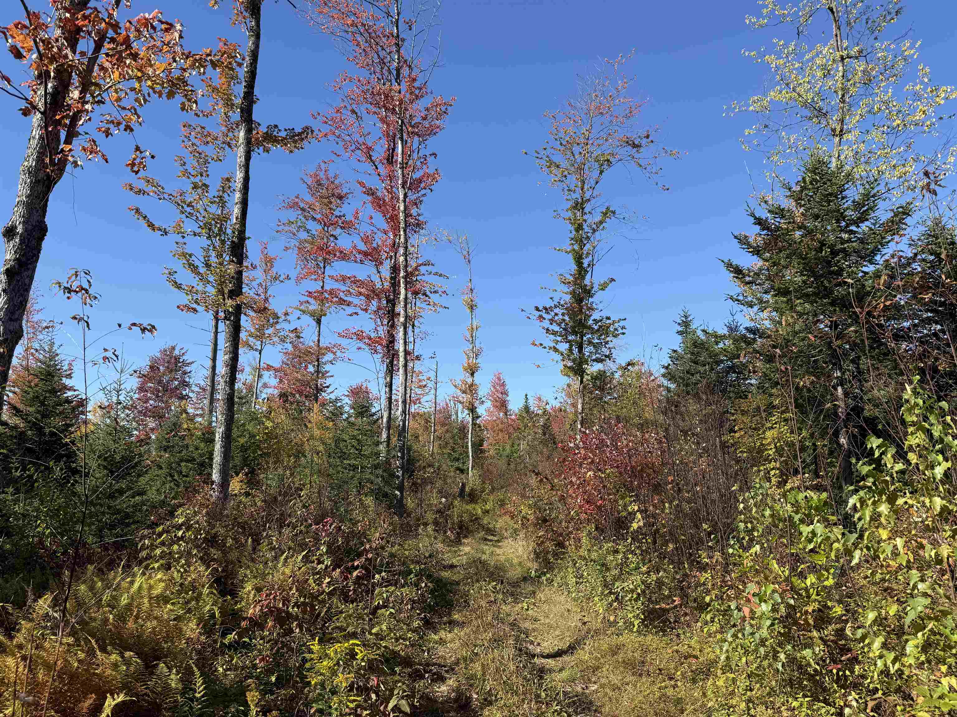 Photo 3 of Single family home for sale at 2870 Leonard Hl Rd, Concord, VT 05824 | MLS# 5111826 | Listing updated on 2026-09-28