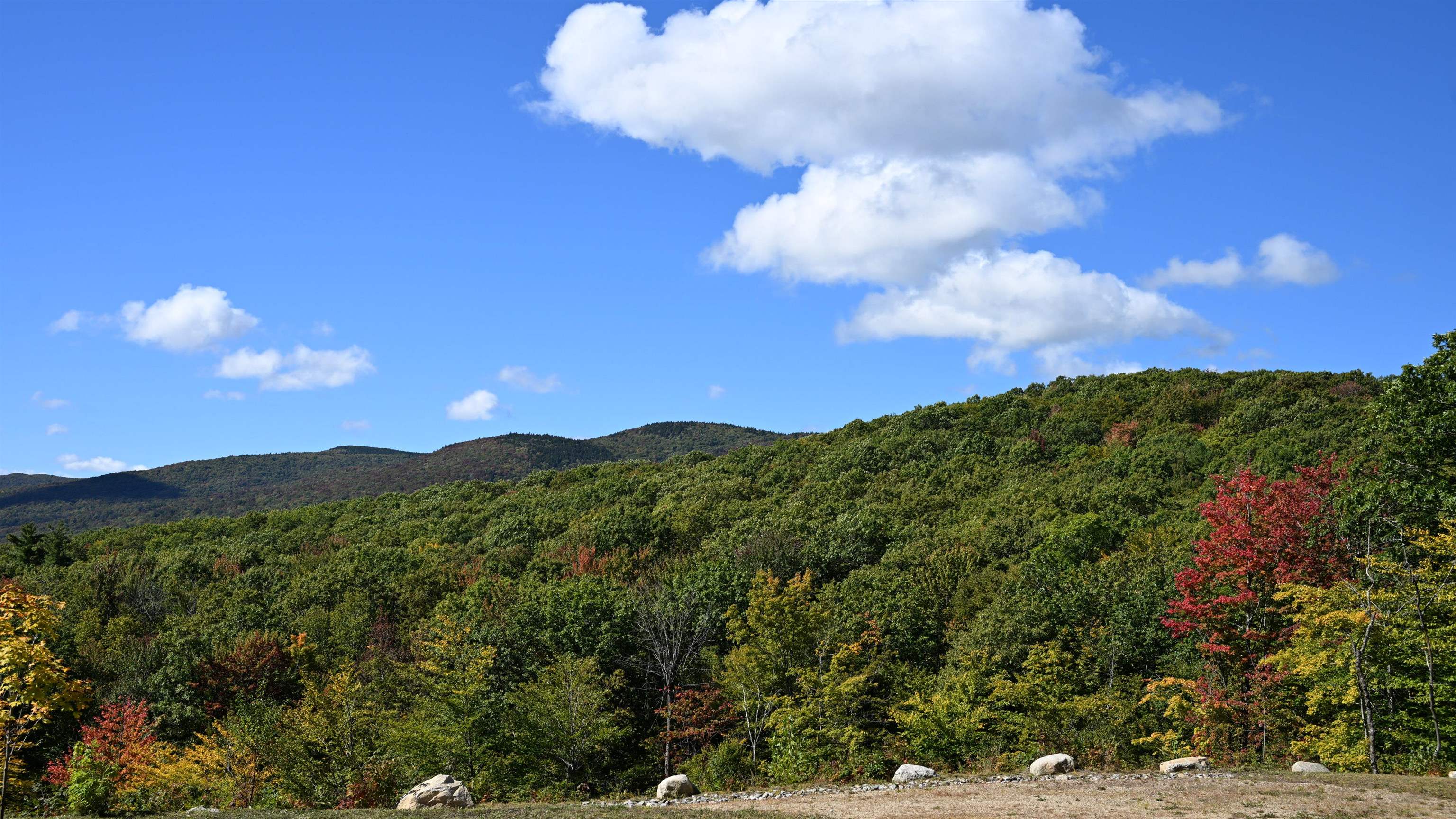 Photo 3 of Land for sale at 176 Old Province Rd, Newbury, NH 03255 | MLS# 5111894 | Listing updated on 2026-10-05