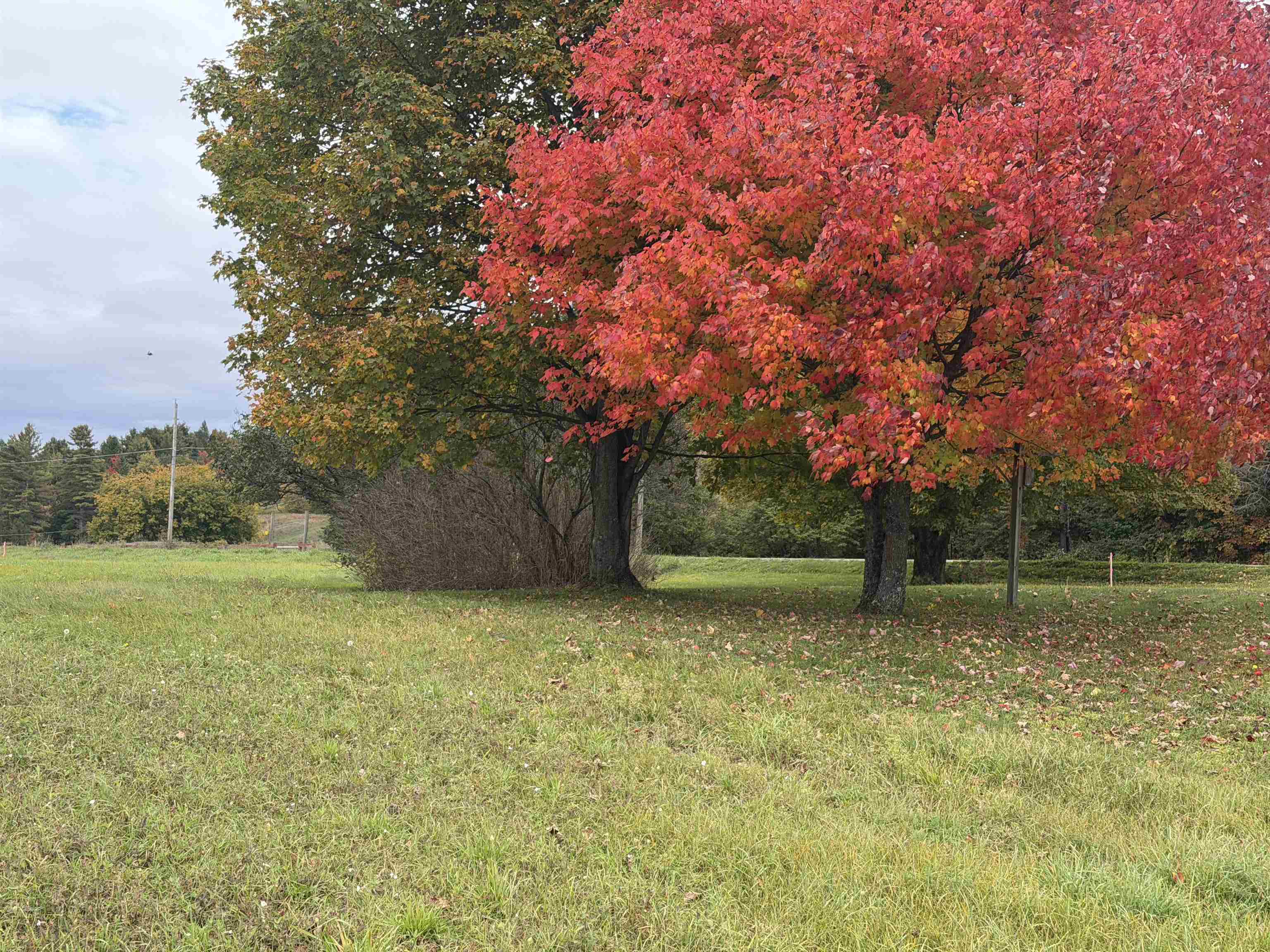 Photo 3 of Land for sale at 00 Lily Pond Rd, Lyndonville, VT 05851 | MLS# 5111944 | Listing updated on 2026-09-30