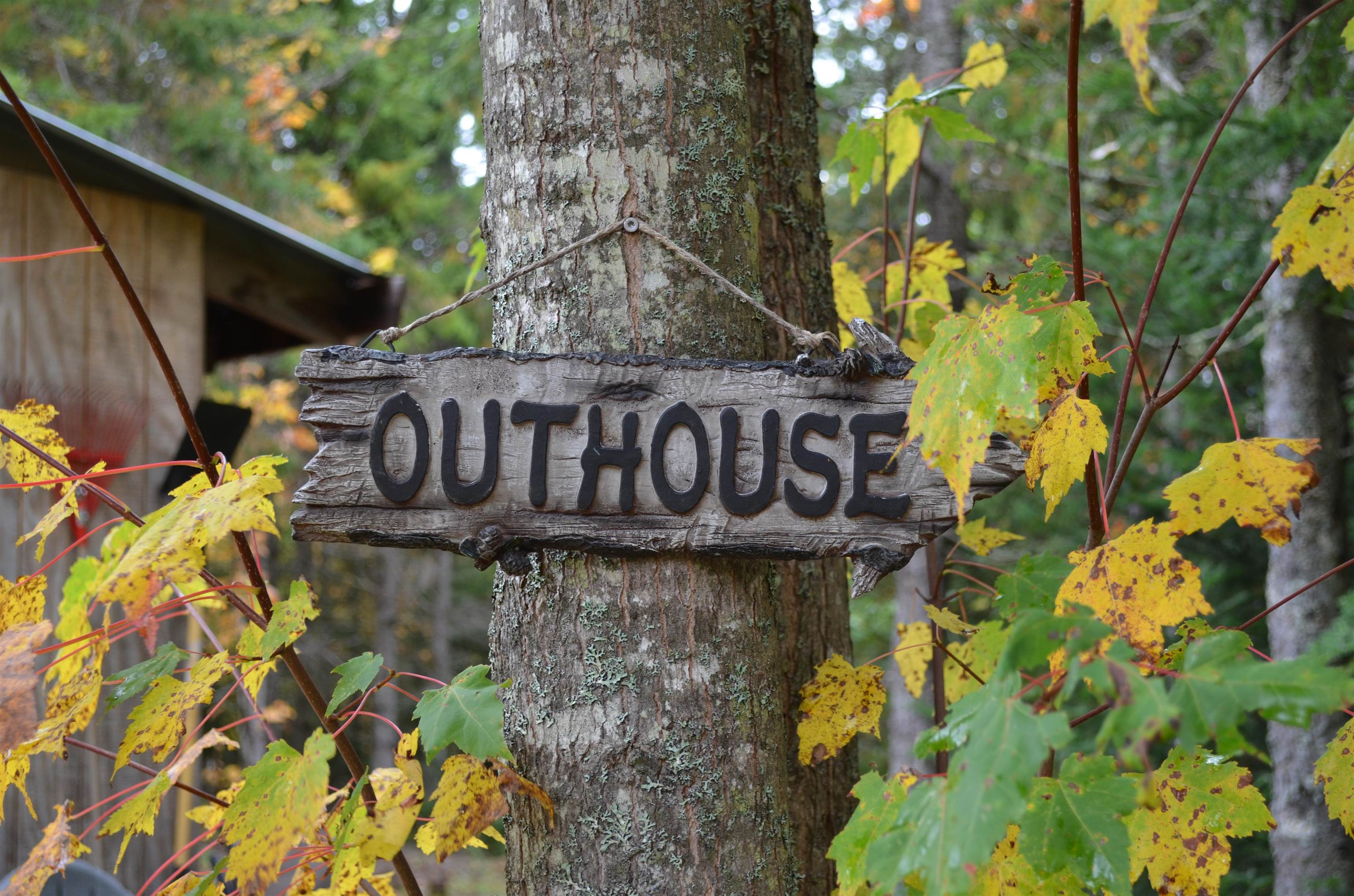 Photo 3 of Single family home for sale at 205 Deer Ridge Rd, West Burke, VT 05871 | MLS# 5111973 | Listing updated on 2026-09-29