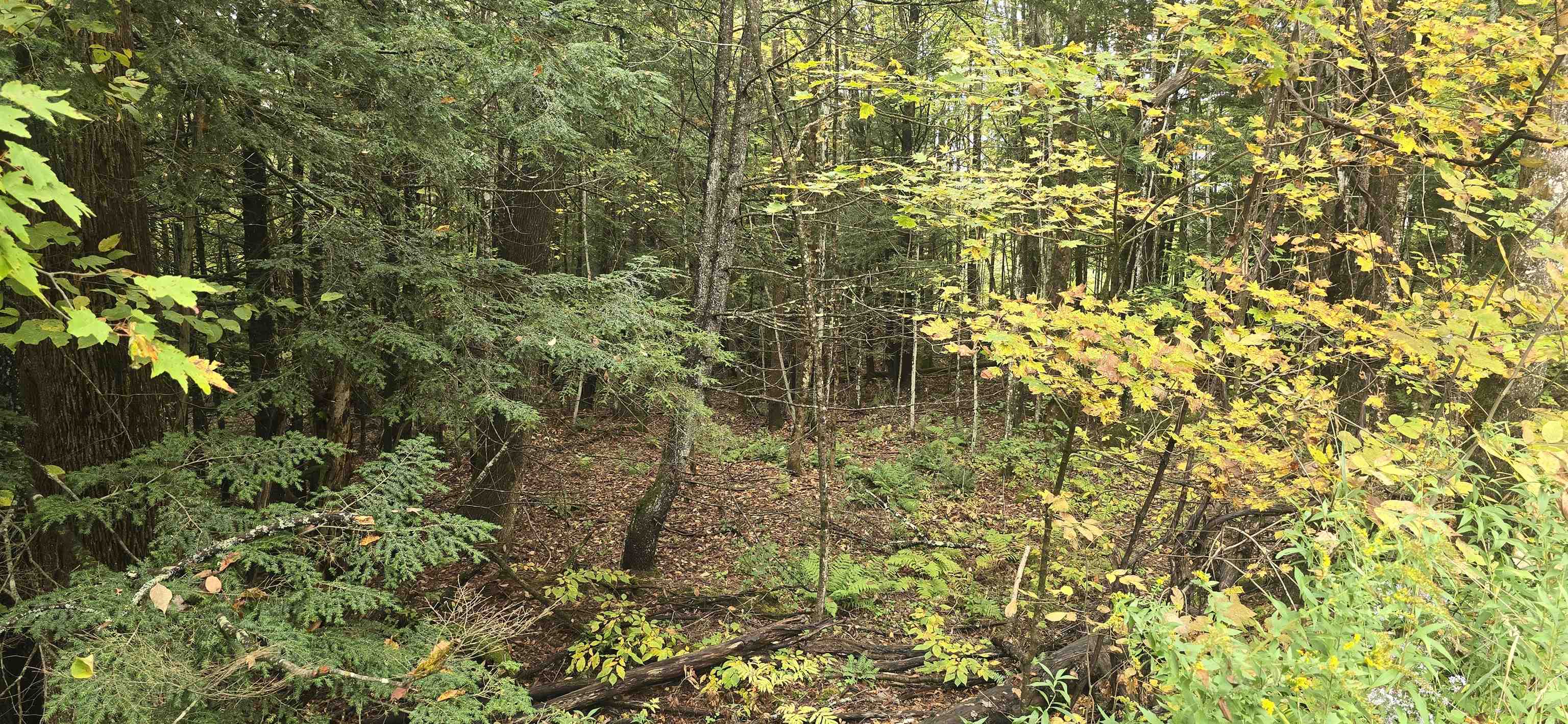 Photo 3 of Land for sale at 0 Clarina Nichols Ln, Quechee, VT 05059 | MLS# 5112034 | Listing updated on 2026-10-05