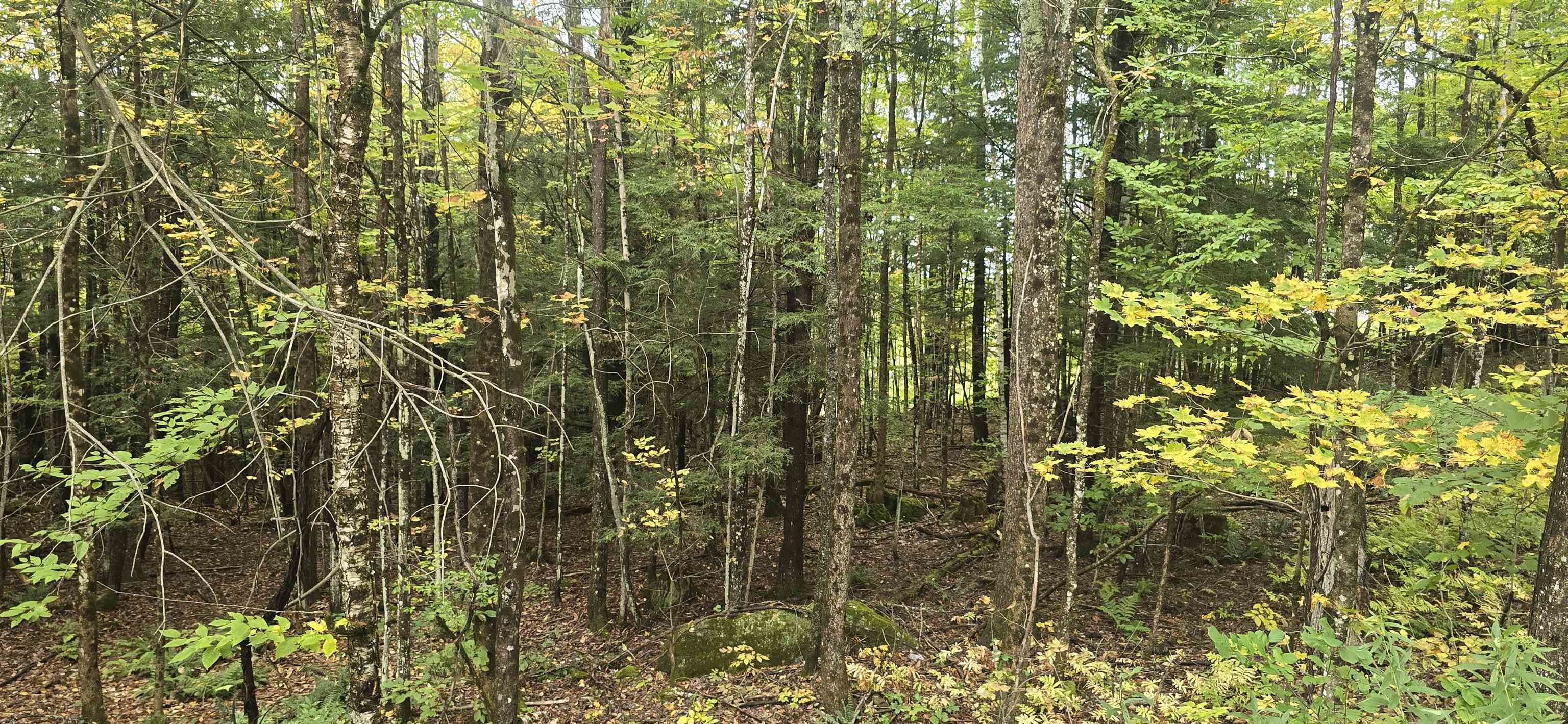 Photo 4 of Land for sale at 0 Clarina Nichols Ln, Quechee, VT 05059 | MLS# 5112034 | Listing updated on 2026-10-05