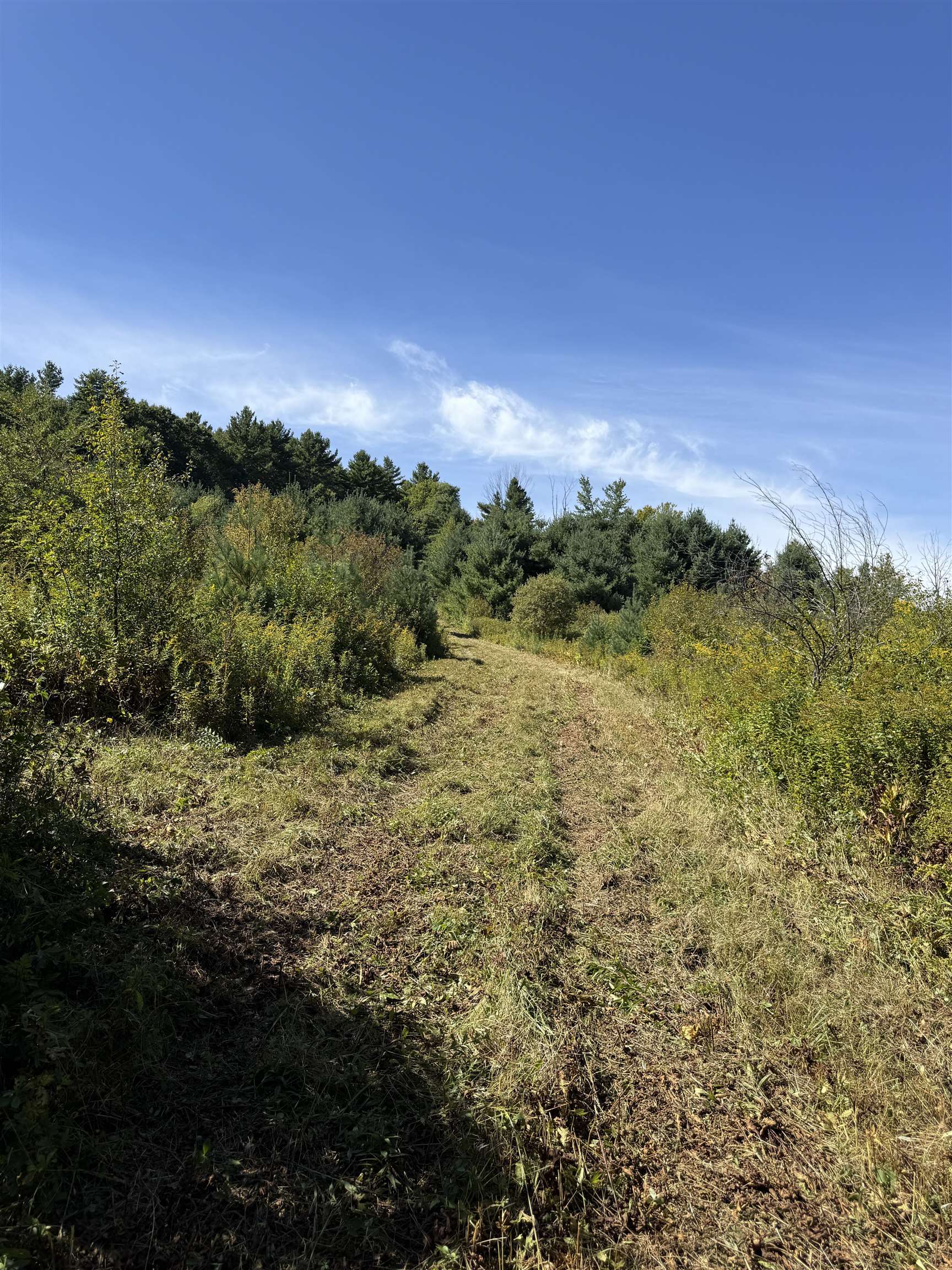 Photo 3 of Land for sale at Woodbury & Eureka Rd, Springfield, VT 05156 | MLS# 5112040 | Listing updated on 2026-10-06