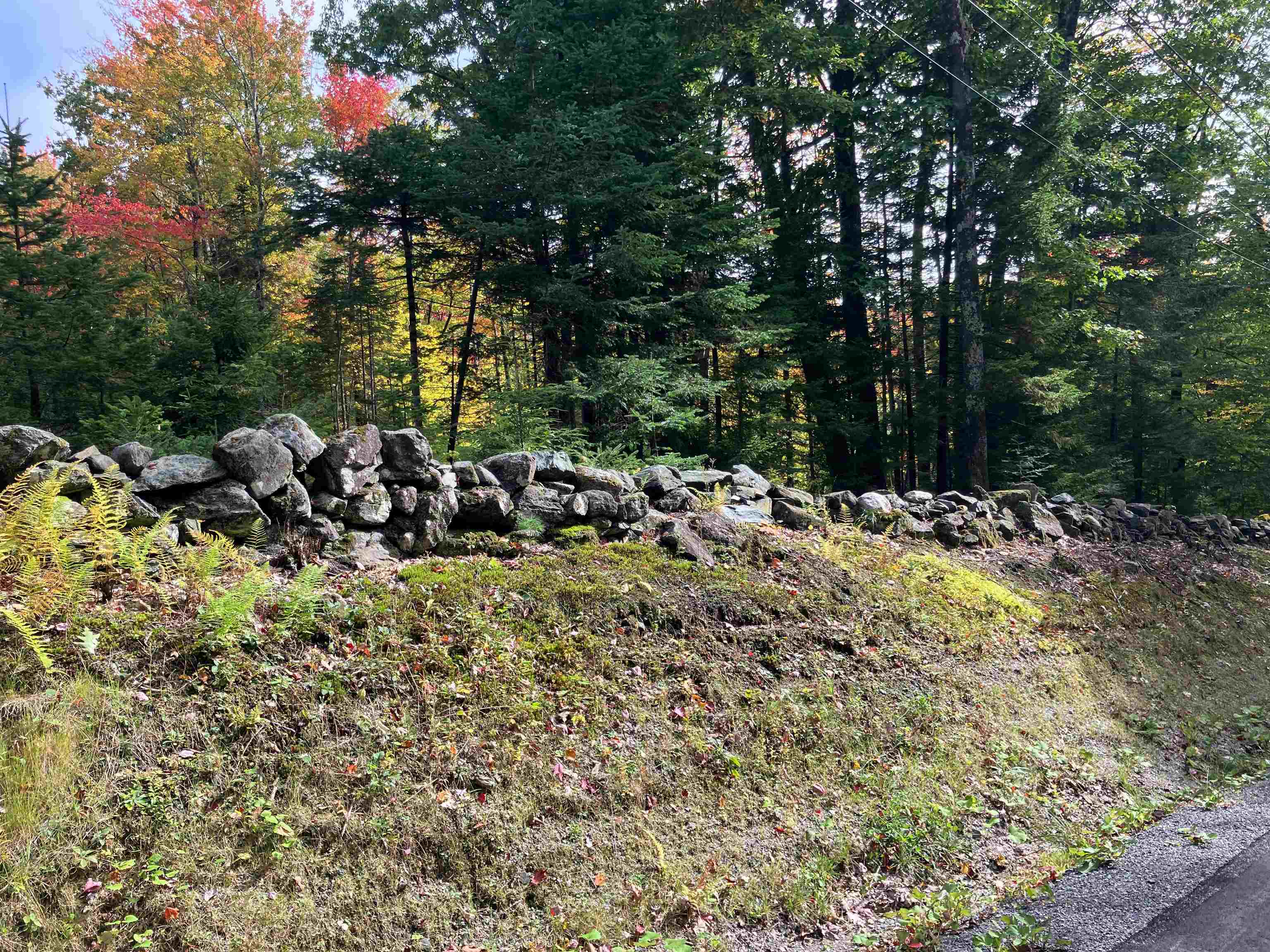 Photo 2 of Land for sale at 74 Villager Loop, West Dover, VT 05356 | MLS# 5112070 | Listing updated on 2026-10-02