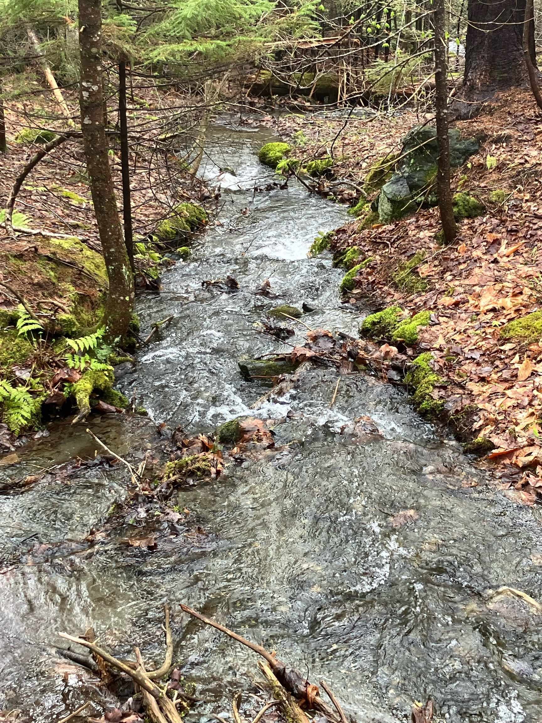Photo 3 of Land for sale at 74 Villager Loop, West Dover, VT 05356 | MLS# 5112070 | Listing updated on 2026-10-02