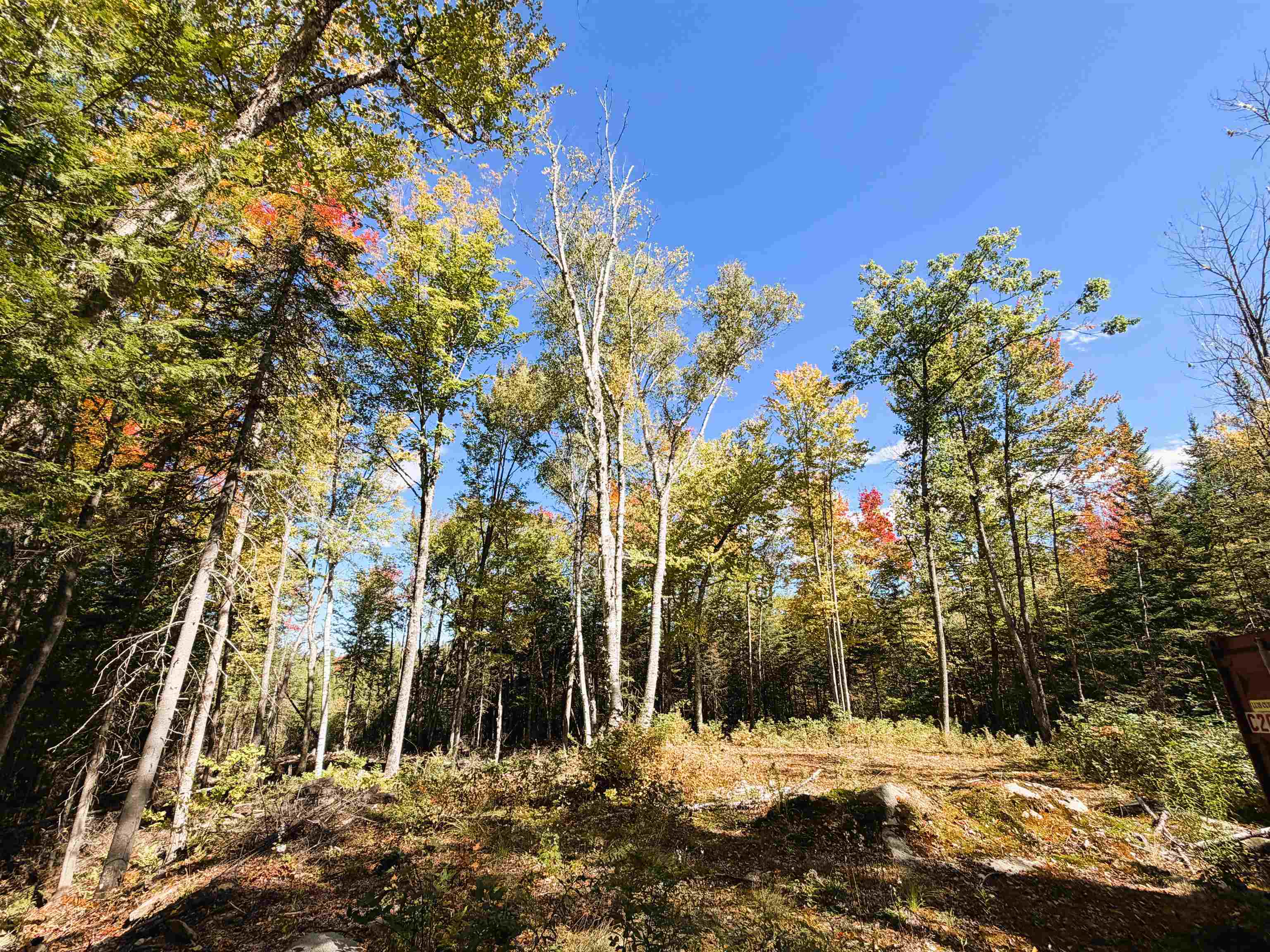 Photo 2 of Land for sale at 0 Cyr Rd, Littleton, NH 03561 | MLS# 5112127 | Listing updated on 2026-09-30