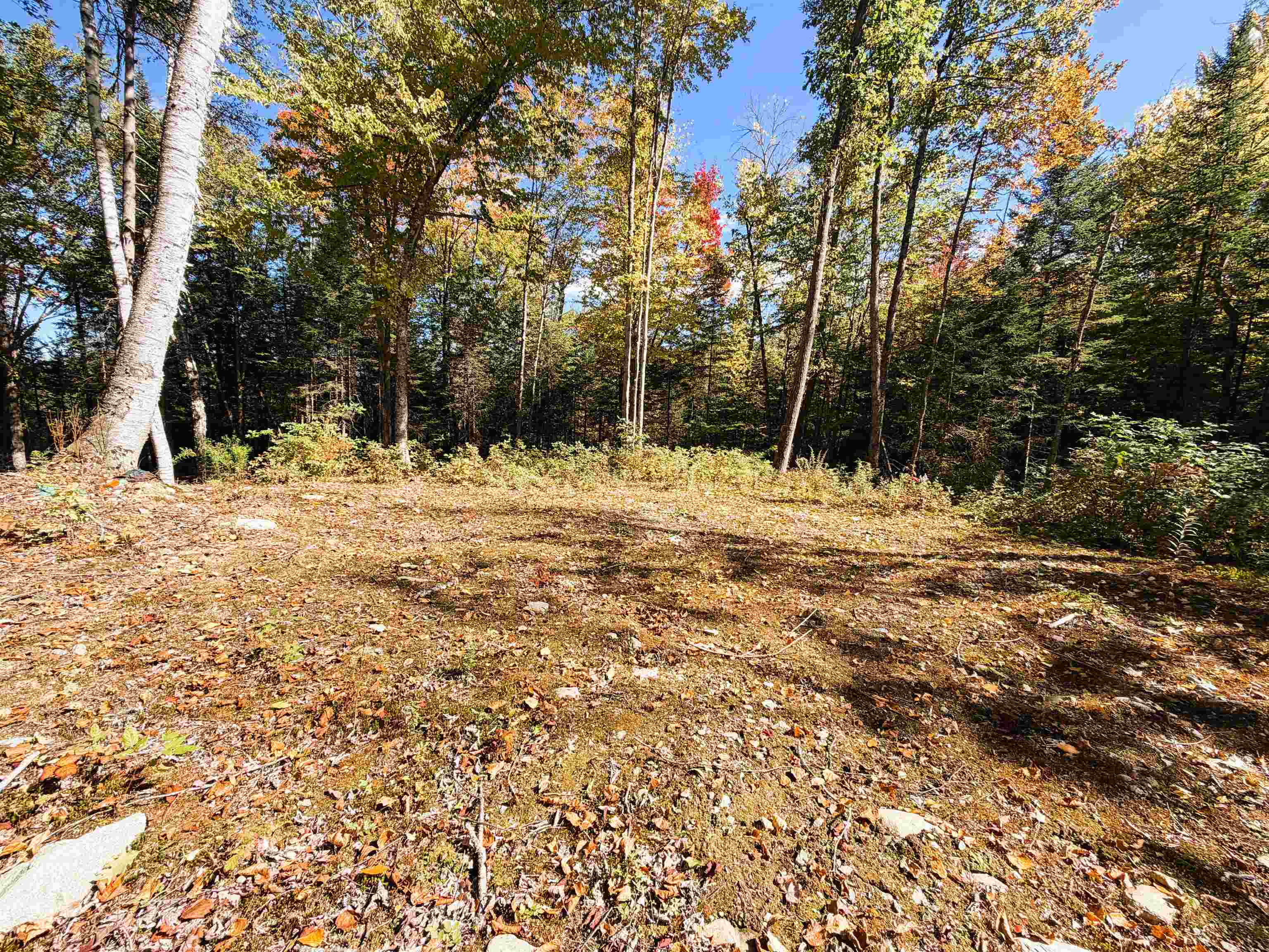 Photo 3 of Land for sale at 0 Cyr Rd, Littleton, NH 03561 | MLS# 5112127 | Listing updated on 2026-09-30
