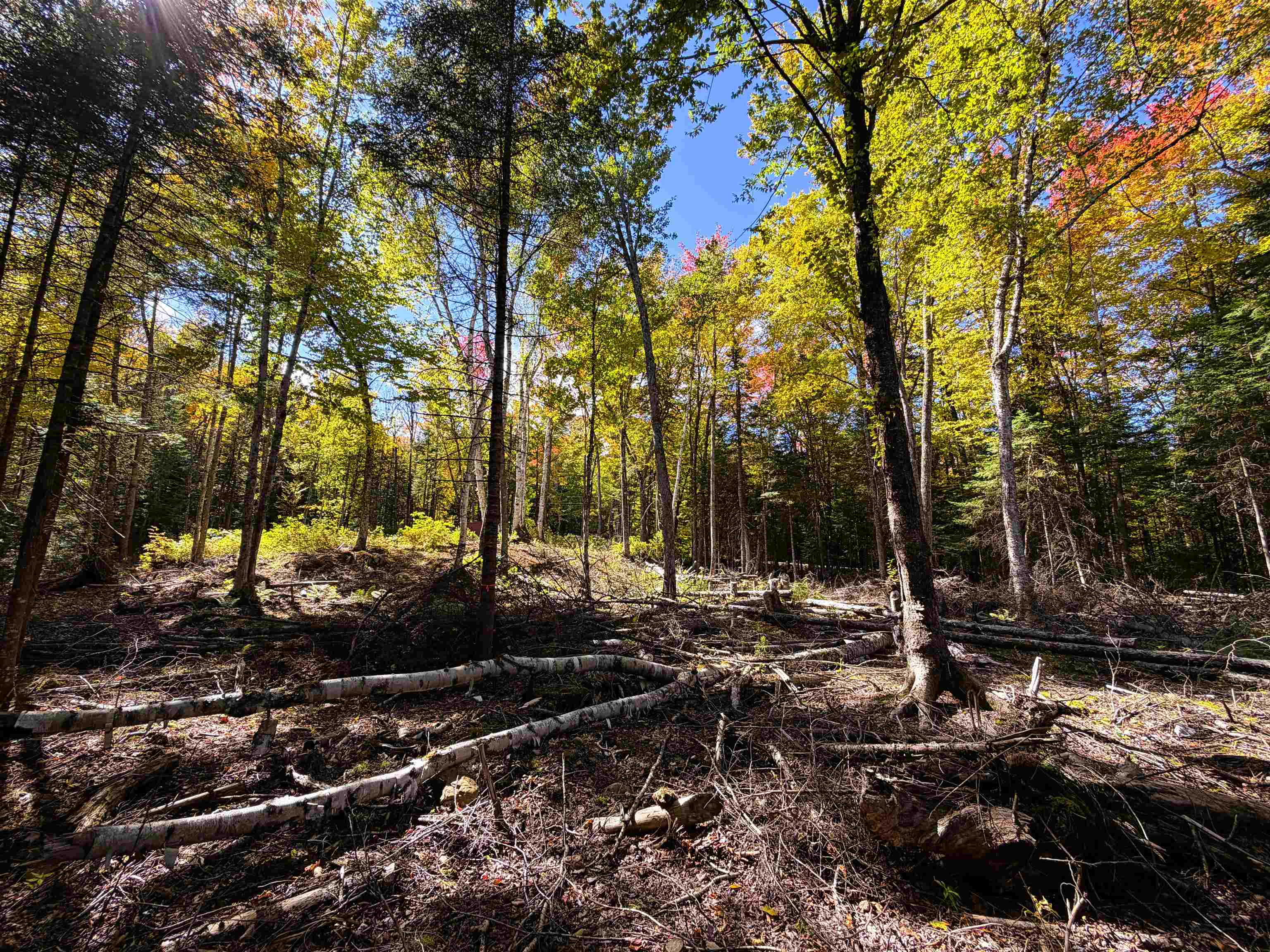 Photo 3 of Land for sale at 0 Cyr Rd, Littleton, NH 03561 | MLS# 5112127 | Listing updated on 2026-09-30