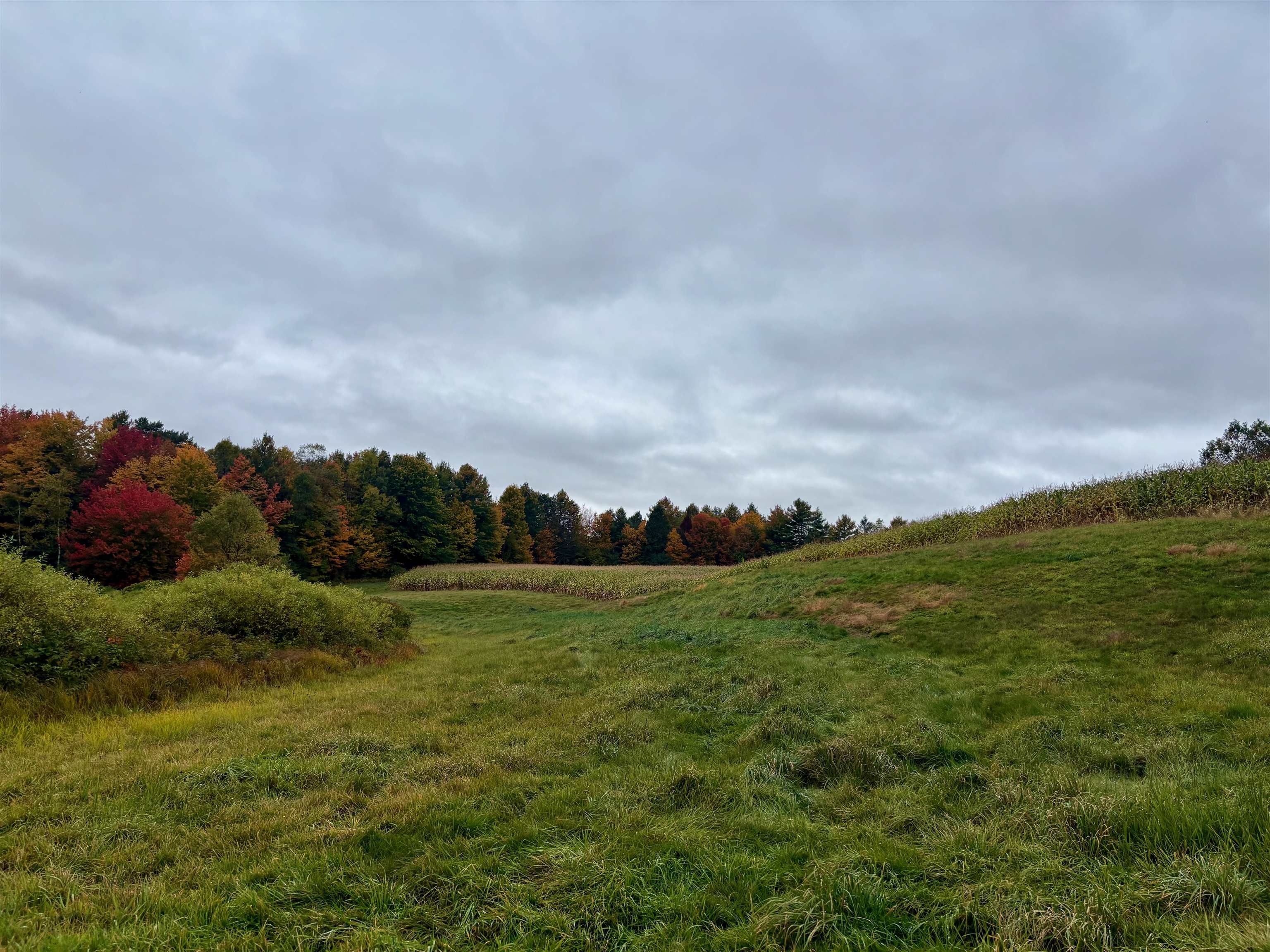 Photo 2 of Land for sale at 0000 Lily Pond Rd, Lyndonville, VT 05851 | MLS# 5112146 | Listing updated on 2026-09-30