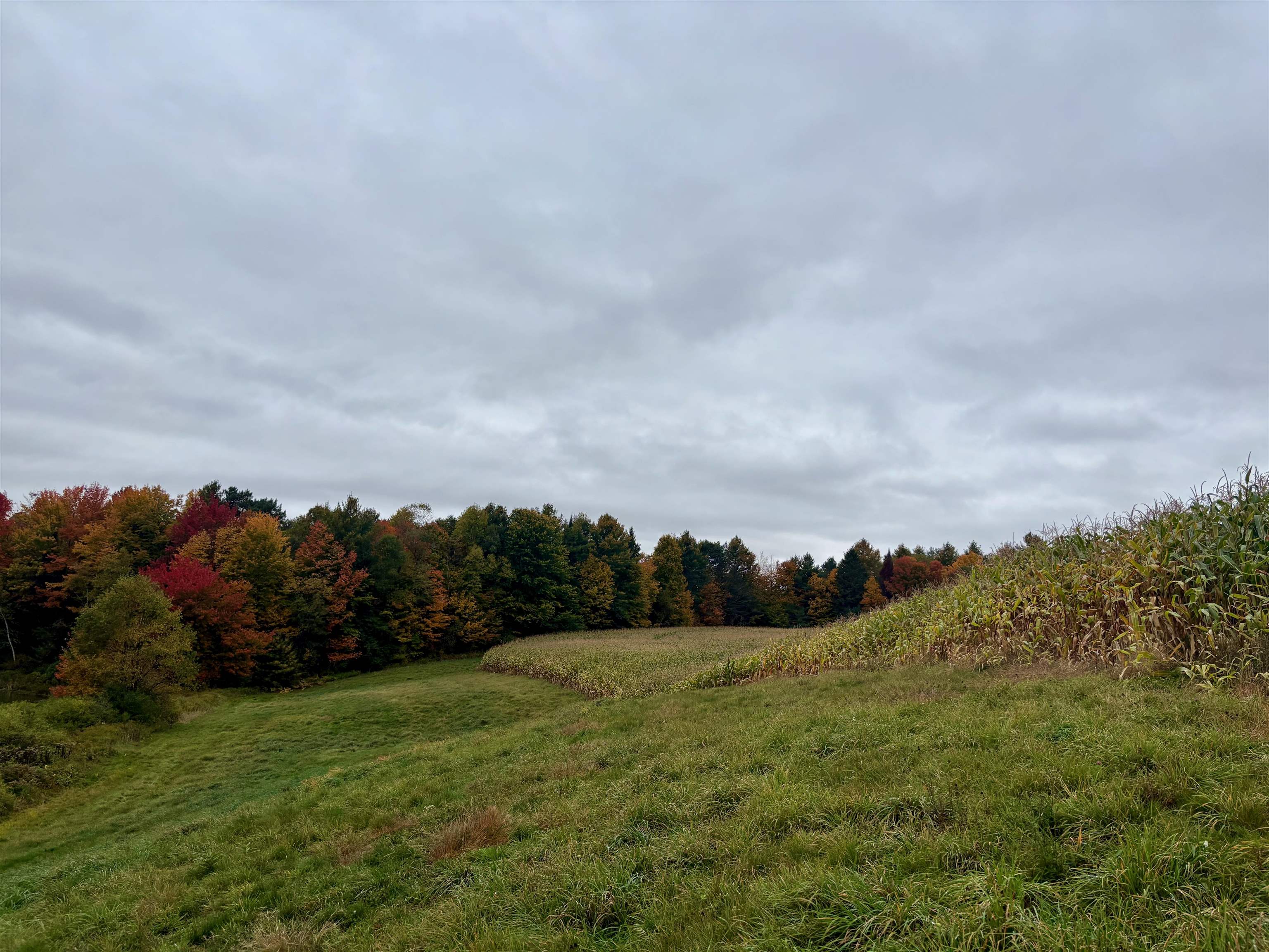 Photo 3 of Land for sale at 0000 Lily Pond Rd, Lyndonville, VT 05851 | MLS# 5112146 | Listing updated on 2026-09-30