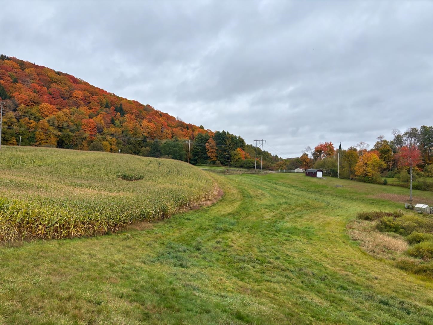 Photo 2 of Land for sale at 0000 Lily Pond Rd, Lyndon, VT 05851 | MLS# 5112149 | Listing updated on 2026-10-06