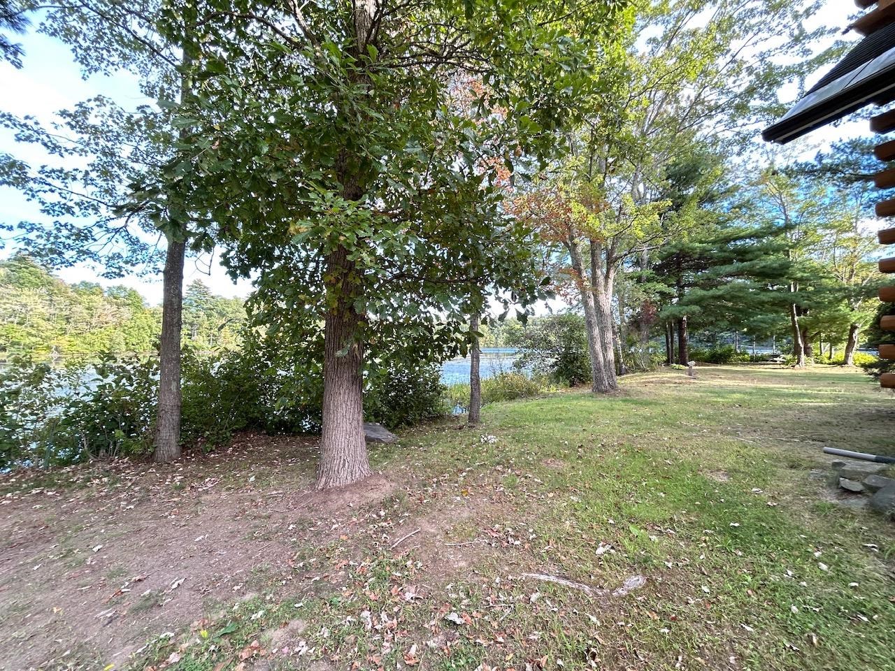 Photo 19 of 59