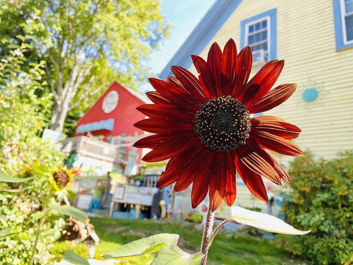 Photo 46 of Single family home for sale at 84 Main St, Ashland, NH 03217 | MLS# 5112277 | Listing updated on 2026-10-13