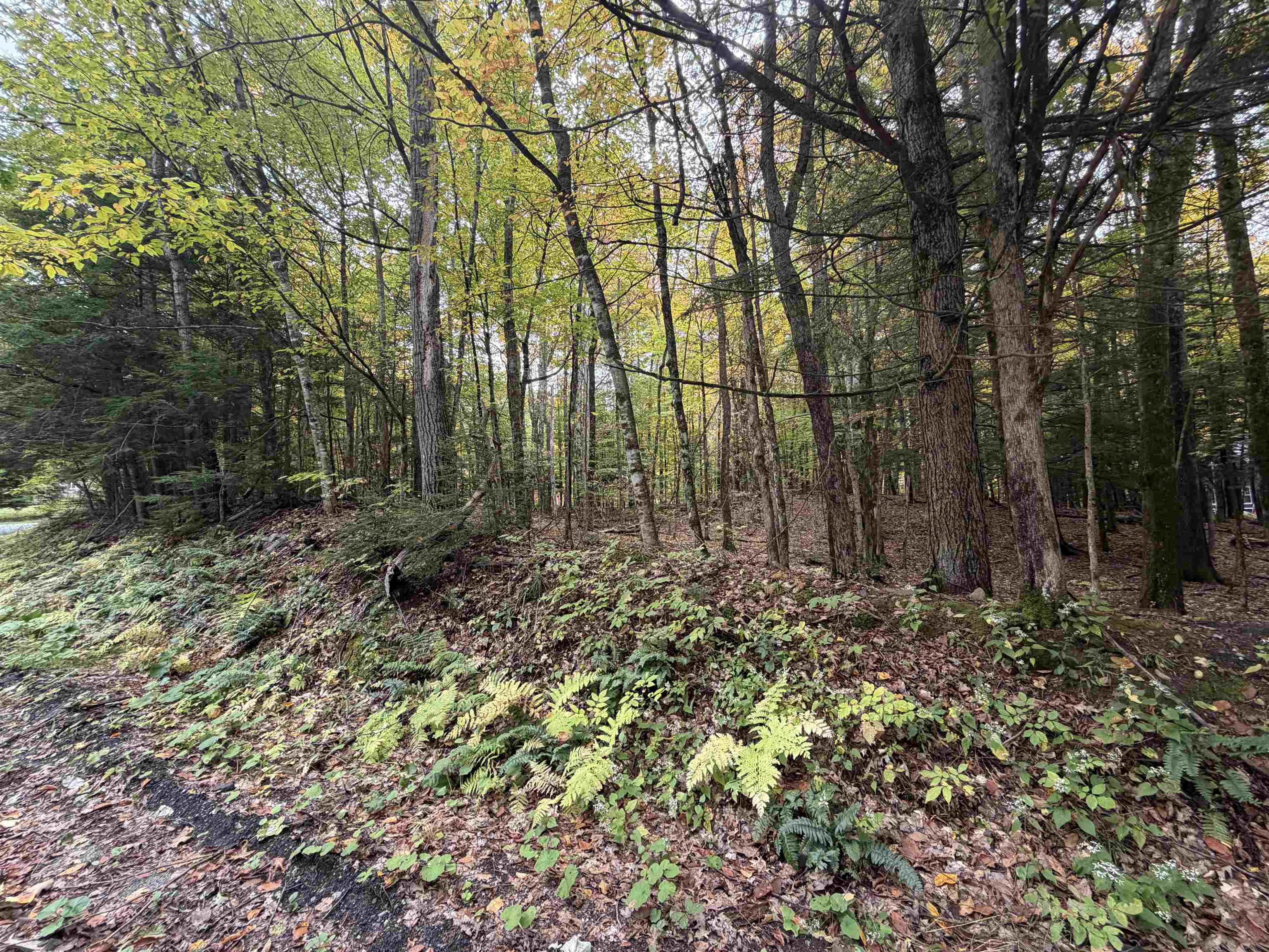 Photo 2 of Land for sale at 0 Baker Turn, Quechee, VT 05059 | MLS# 5112310 | Listing updated on 2026-10-06