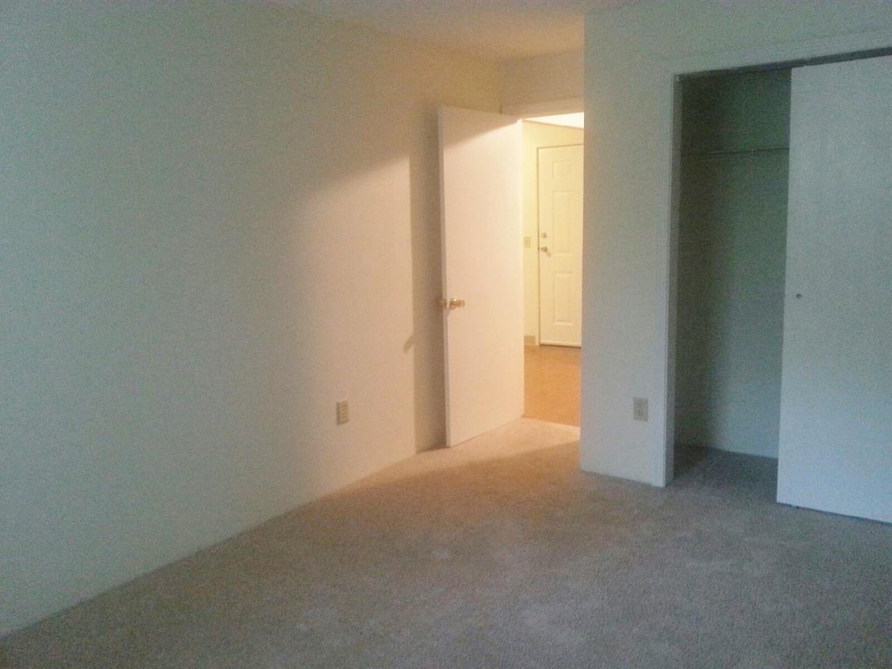 Photo 36 of 46