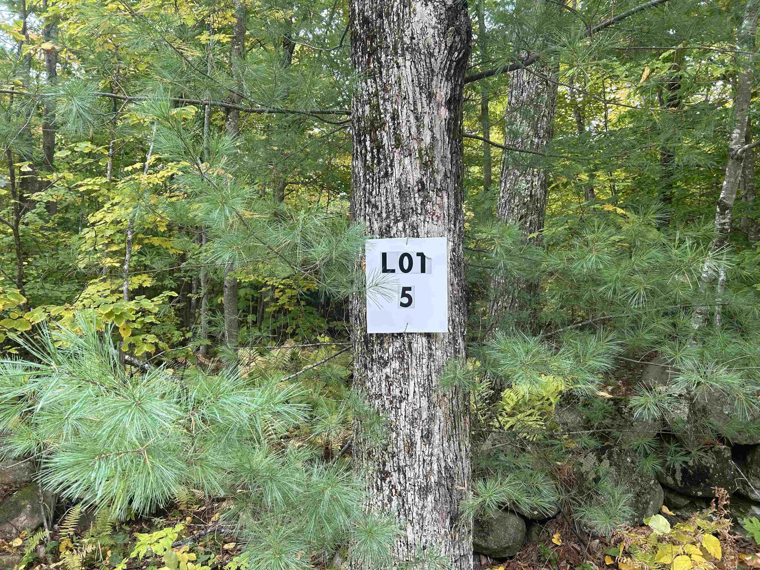 Photo 3 of Land for sale at Lot 5 Phineas Graves Rd, Tuftonboro, NH 03816 | MLS# 5112385 | Listing updated on 2026-10-05