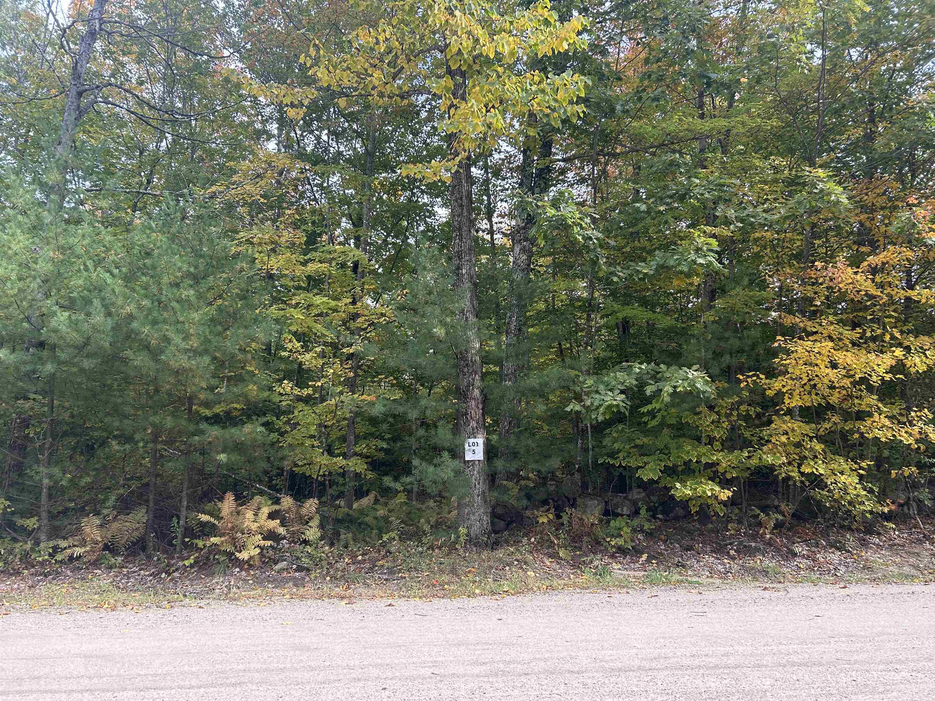 Photo 4 of Land for sale at Lot 5 Phineas Graves Rd, Tuftonboro, NH 03816 | MLS# 5112385 | Listing updated on 2026-10-05