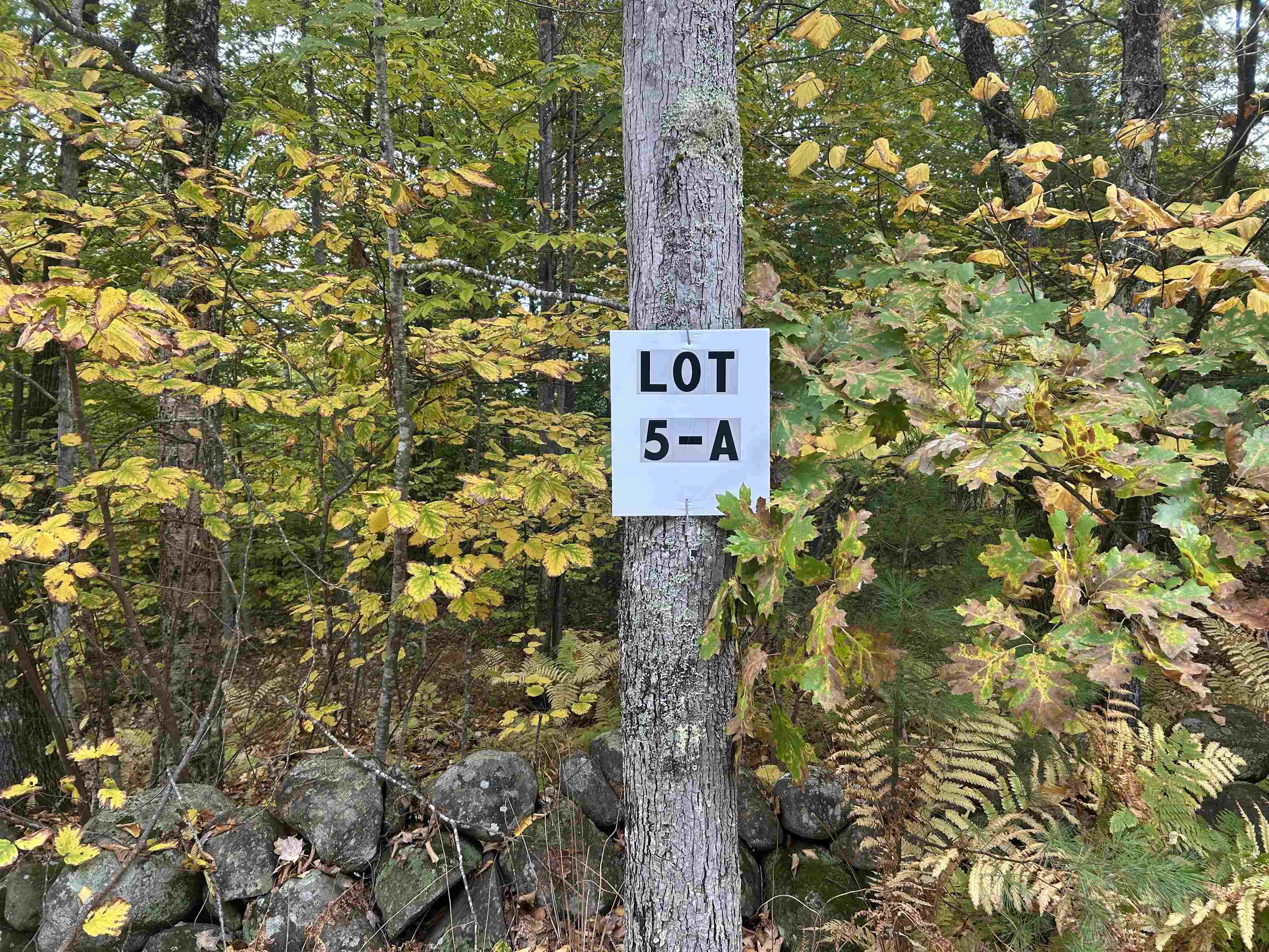Photo 3 of Land for sale at Lot 5a Phineas Graves Rd, Tuftonboro, NH 03816 | MLS# 5112387 | Listing updated on 2026-10-05
