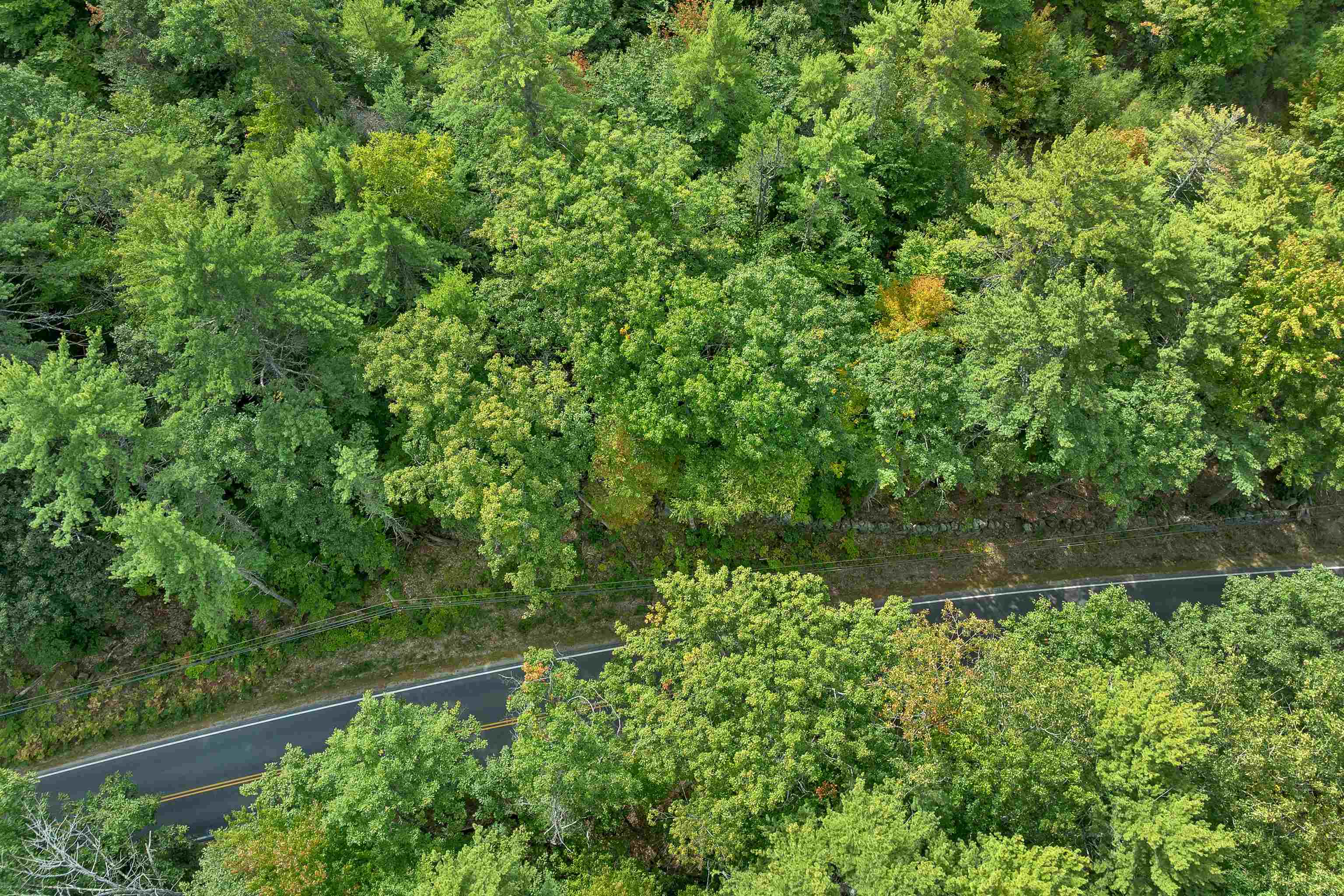 Photo 2 of Land for sale at 4 Whispering Pines Way, Wolfeboro, NH 03894 | MLS# 5112395 | Listing updated on 2026-10-01