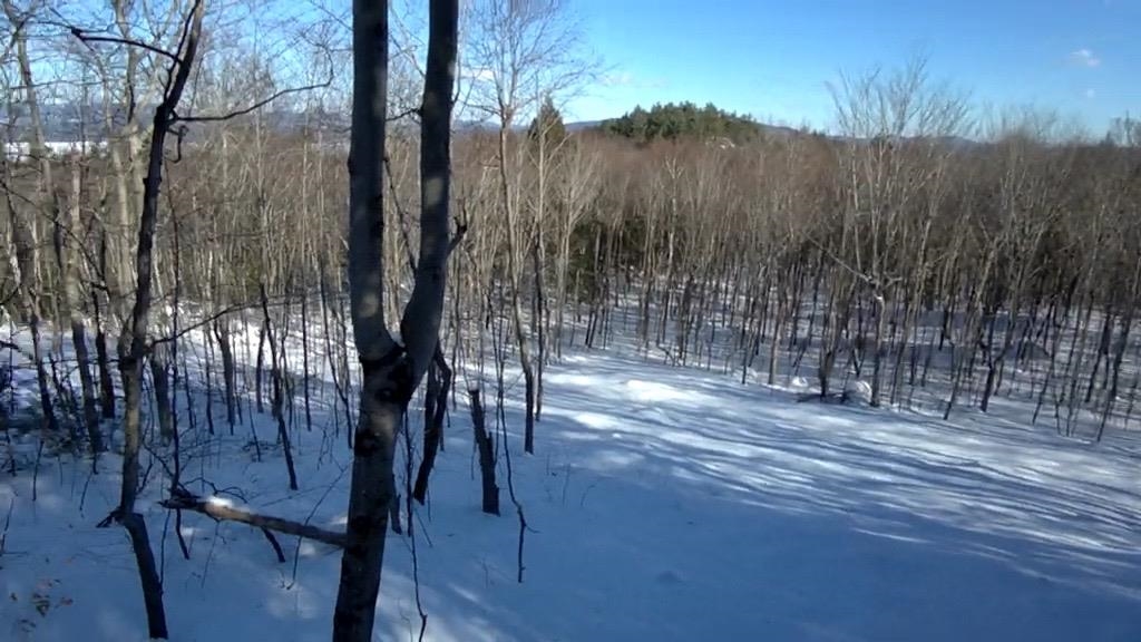 Photo 3 of Land for sale at 23 Passaconway Rd, Center Ossipee, NH 03814 | MLS# 5112413 | Listing updated on 2026-10-01