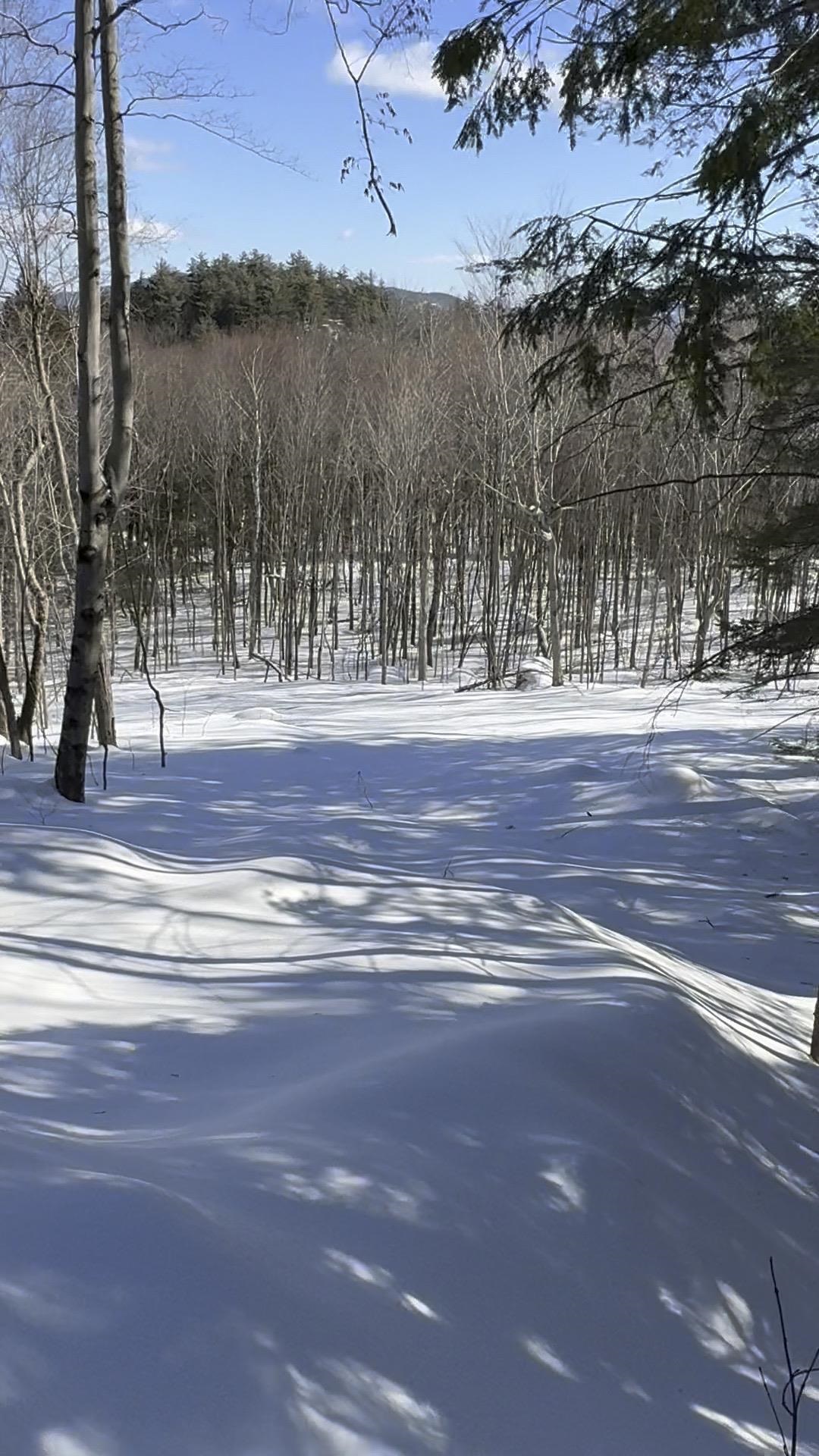 Photo 3 of Land for sale at 23 Passaconway Rd, Center Ossipee, NH 03814 | MLS# 5112413 | Listing updated on 2026-10-01