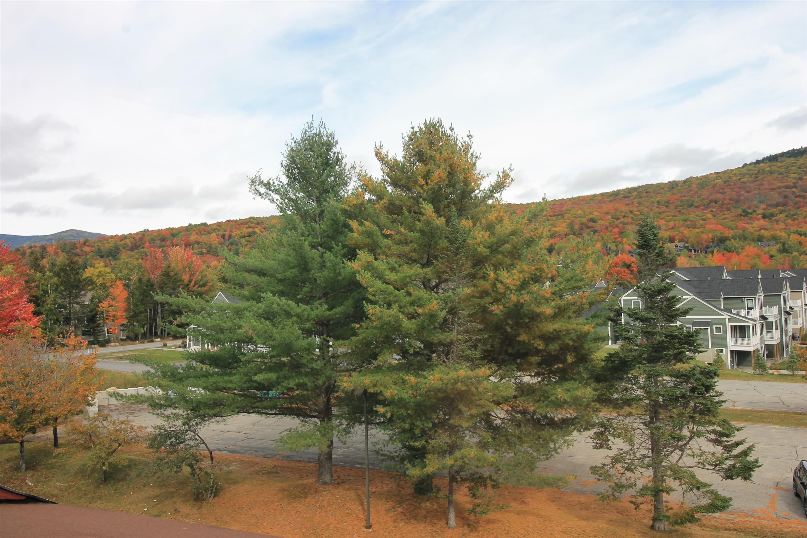 23 Black Bear Road, Waterville Valley, NH photo 4