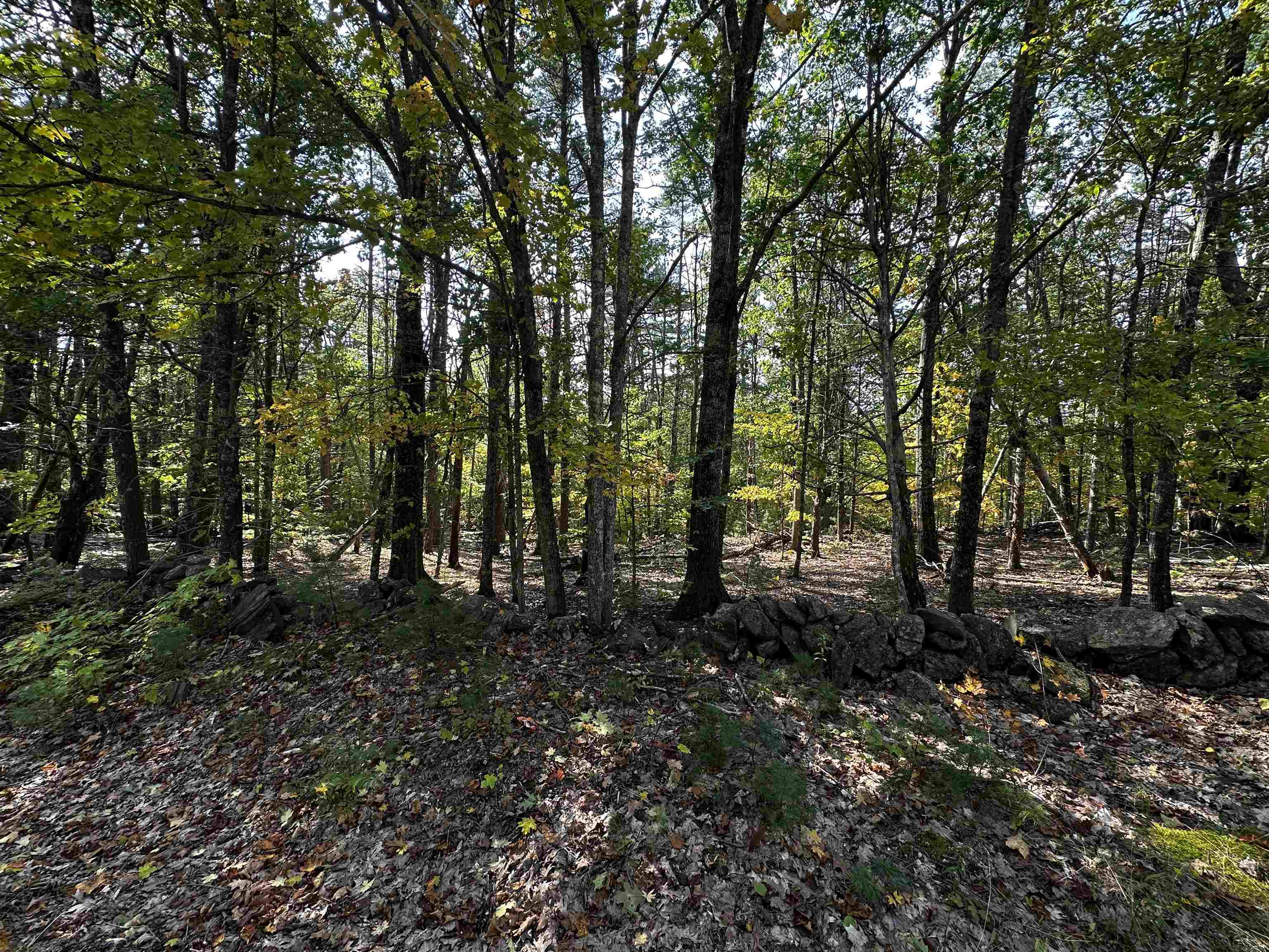 Photo 3 of Land for sale at 27-2 Jug Hl Rd, Milton, NH 03852 | MLS# 5112618 | Listing updated on 2026-10-02