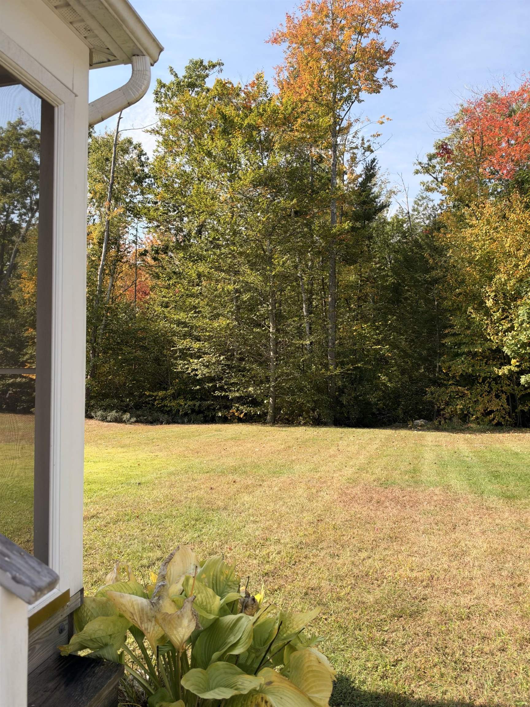 Photo 7 of 26