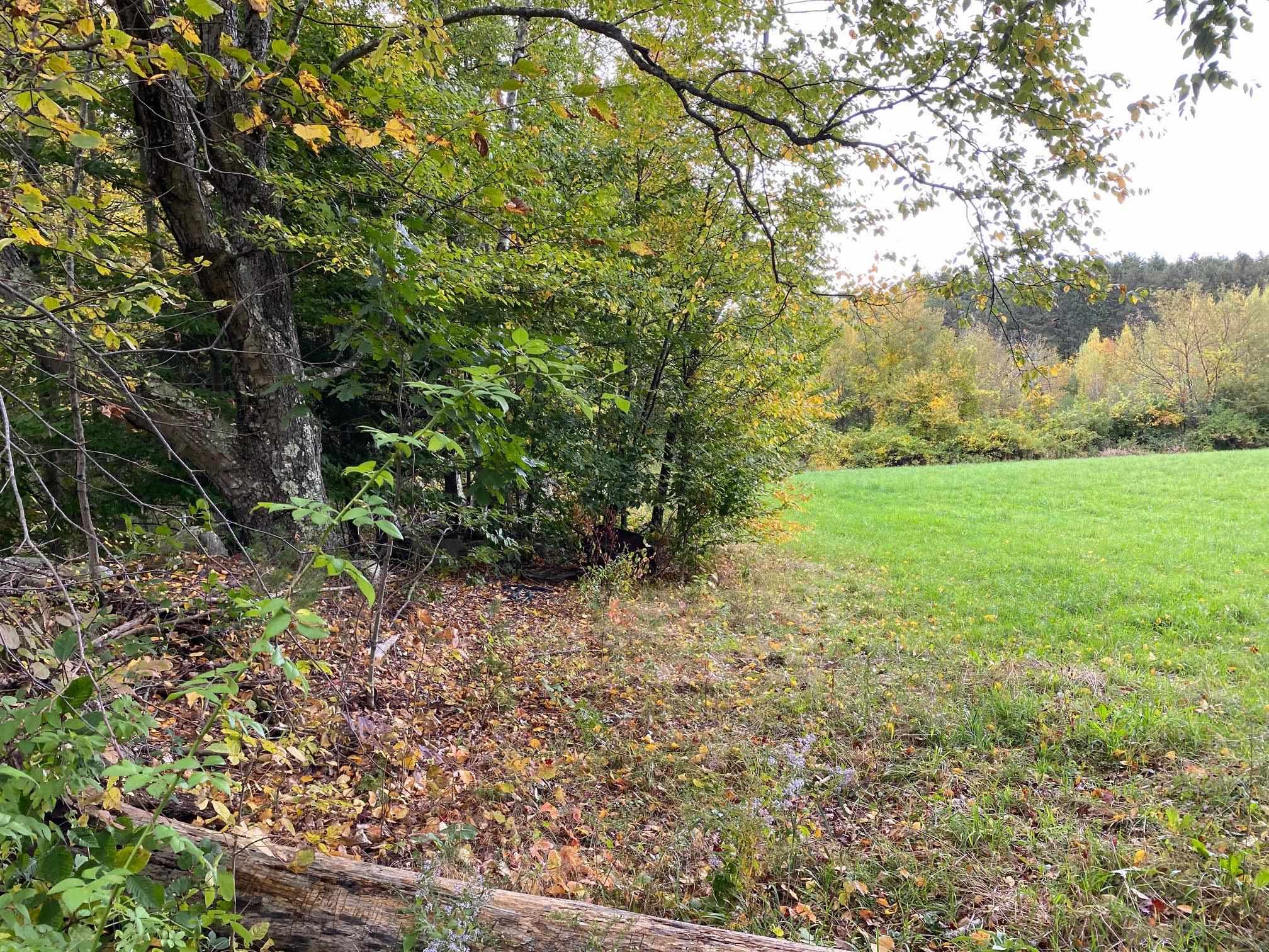 Photo 3 of Land for sale at 00 Bugbee Rd, Springfield, VT 05156 | MLS# 5112685 | Listing updated on 2026-10-07