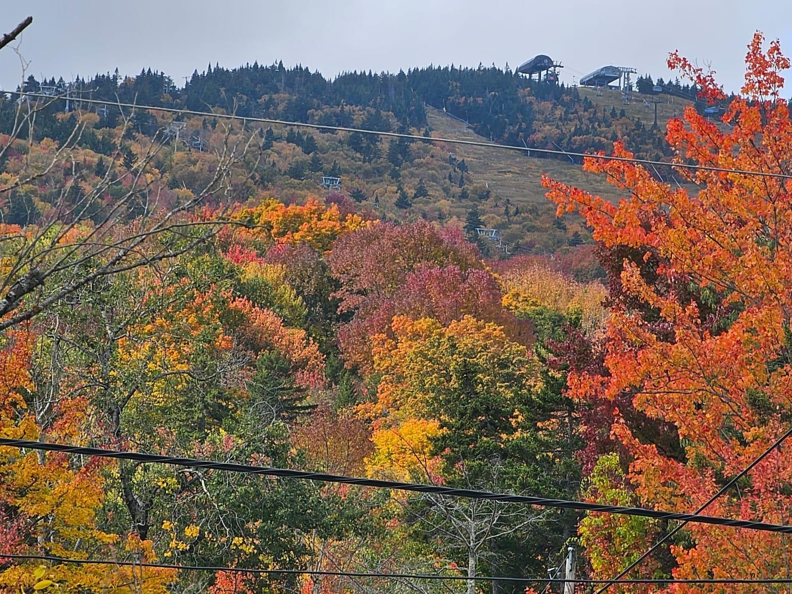 Photo 4 of Condo for sale at 266 Handle Rd #I, Dover, VT 05356 | MLS# 5112712 | Listing updated on 2026-10-03