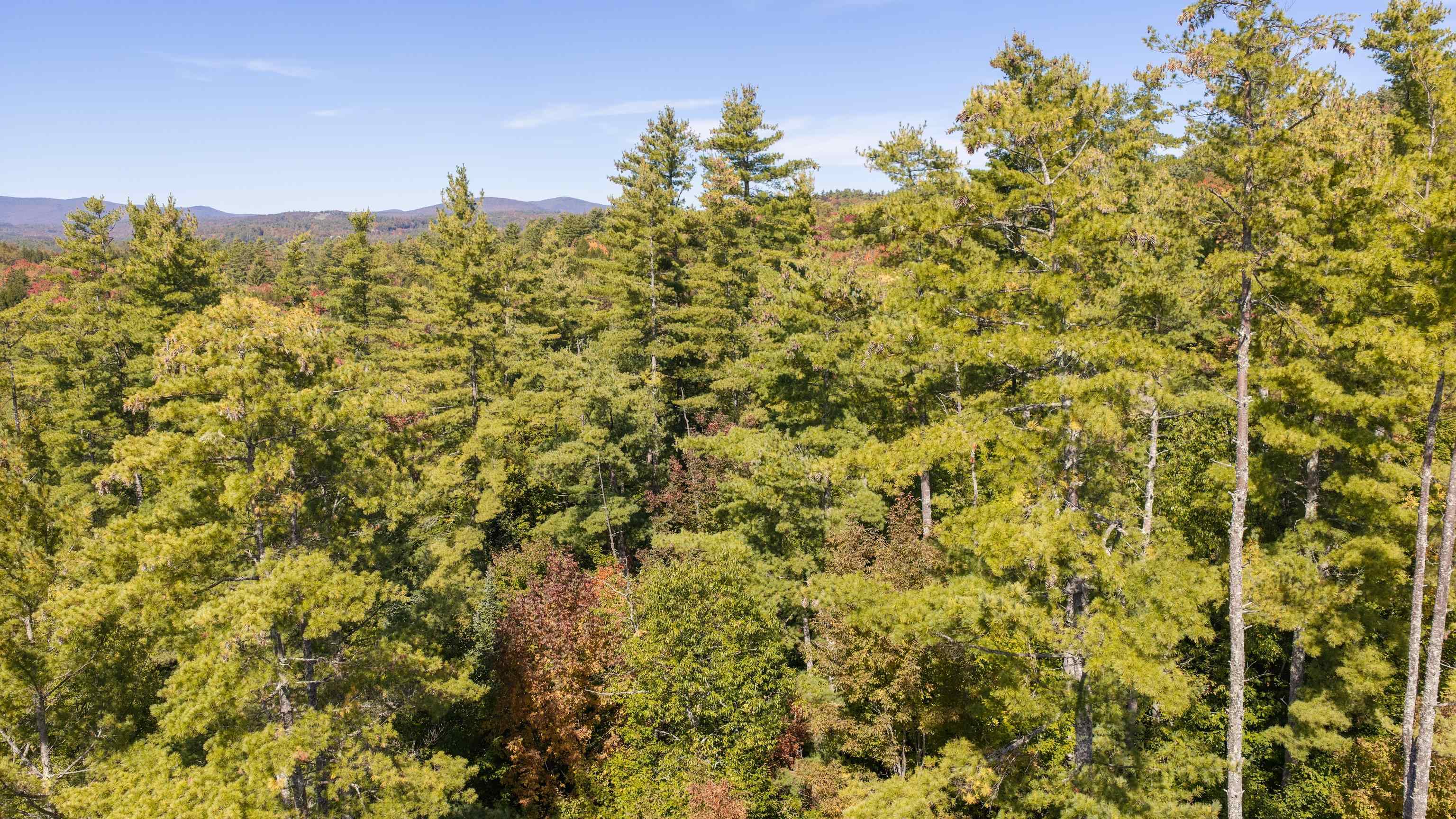 Photo 4 of Land for sale at 4a Stoney Brk Rd, Londonderry, VT 05148 | MLS# 5112729 | Listing updated on 2026-10-03