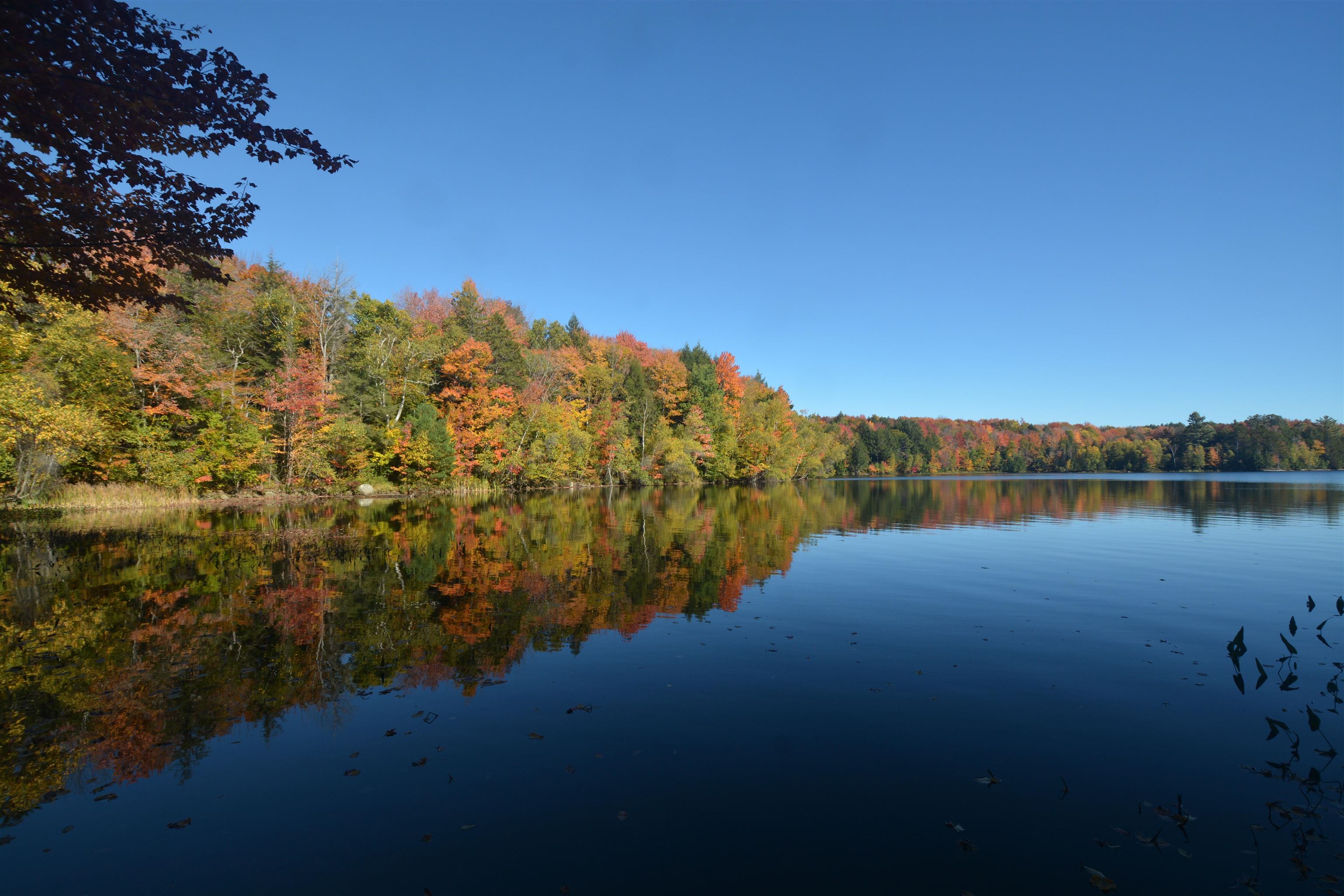Photo 3 of Single family home for sale at 15 Shore Rd, Enfield, NH 03748 | MLS# 5112779 | Listing updated on 2026-10-05
