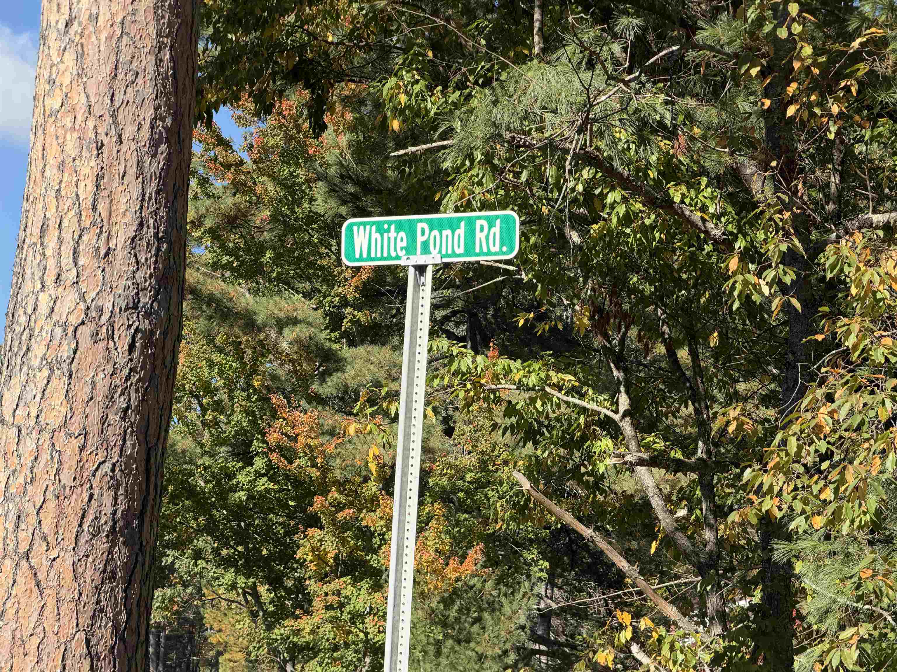Photo 2 of Manufactured home for sale at 40 White Pond Rd, Ossipee, NH 03864 | MLS# 5112791 | Listing updated on 2026-10-07