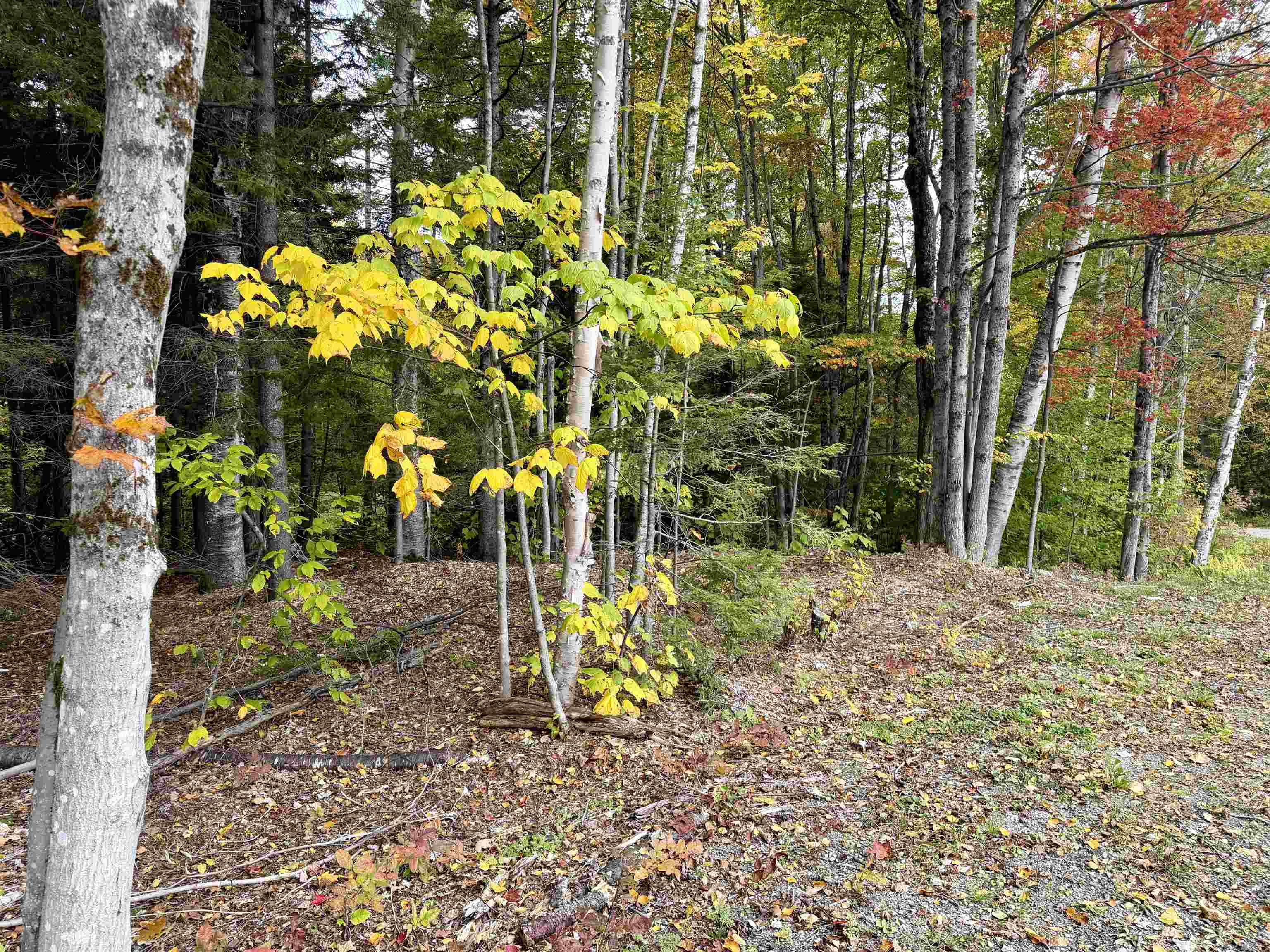 Photo 2 of Land for sale at 123 High Hl Top Rd, Wilmington, VT 05363 | MLS# 5112849 | Listing updated on 2026-10-05