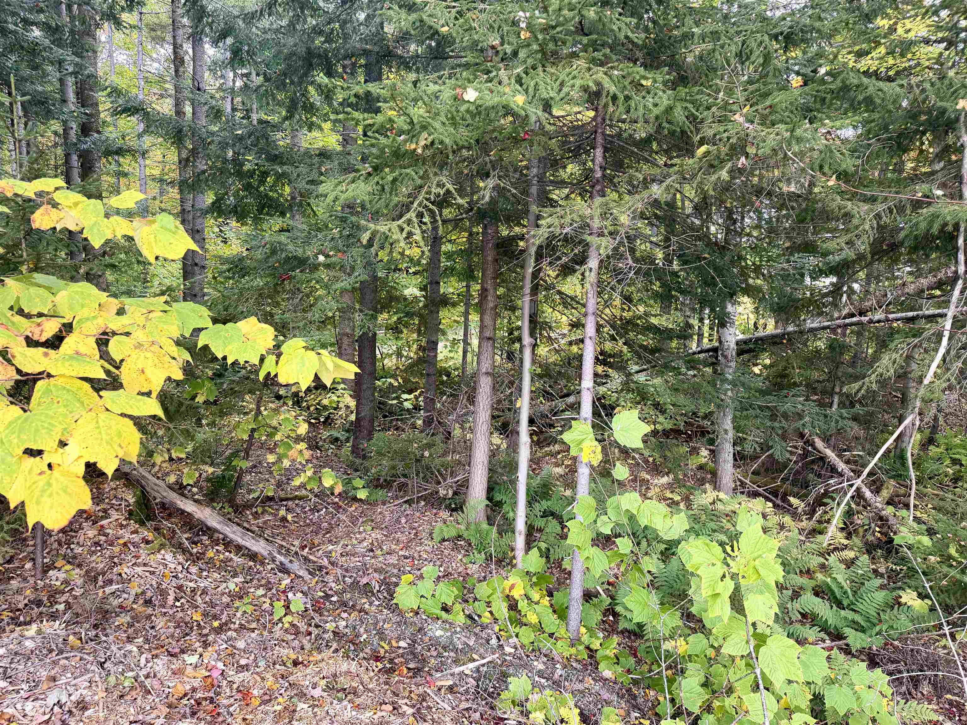 Photo 3 of Land for sale at 123 High Hl Top Rd, Wilmington, VT 05363 | MLS# 5112849 | Listing updated on 2026-10-05