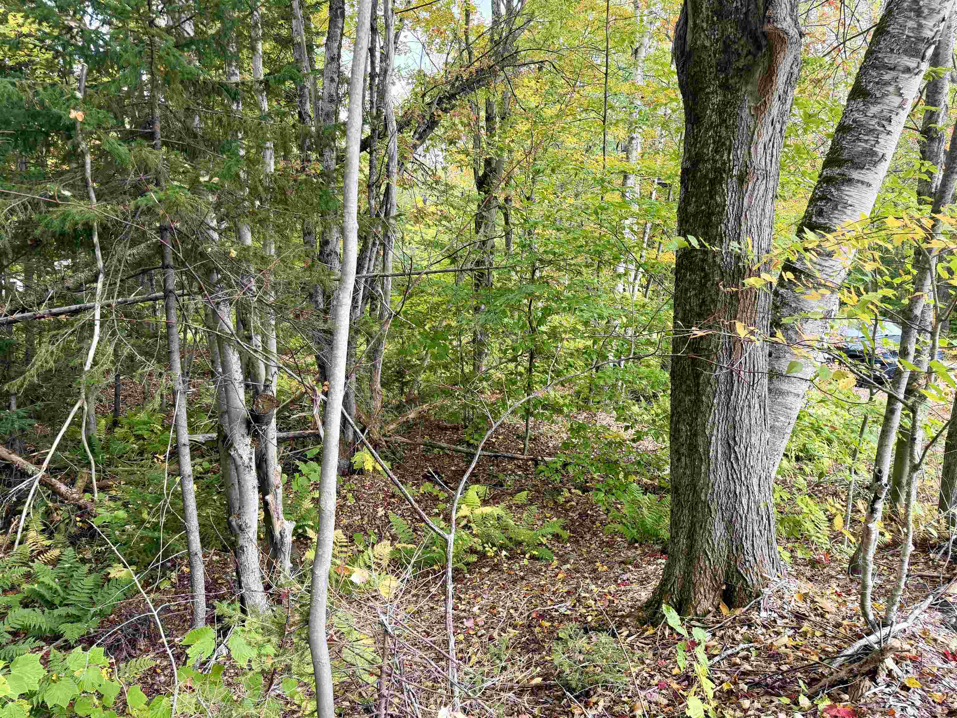 Photo 3 of Land for sale at 123 High Hl Top Rd, Wilmington, VT 05363 | MLS# 5112849 | Listing updated on 2026-10-05