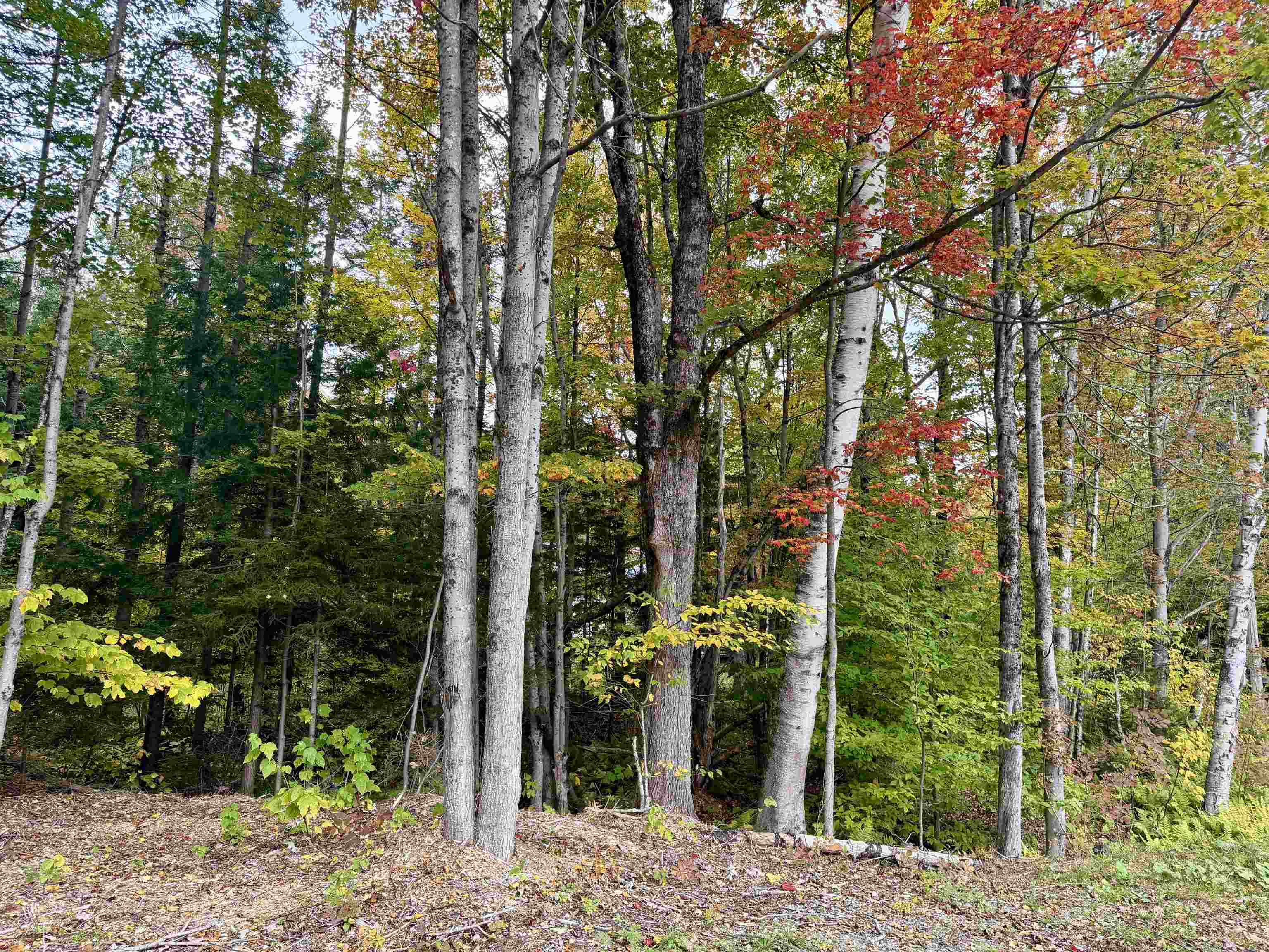 Photo 4 of Land for sale at 123 High Hl Top Rd, Wilmington, VT 05363 | MLS# 5112849 | Listing updated on 2026-10-05