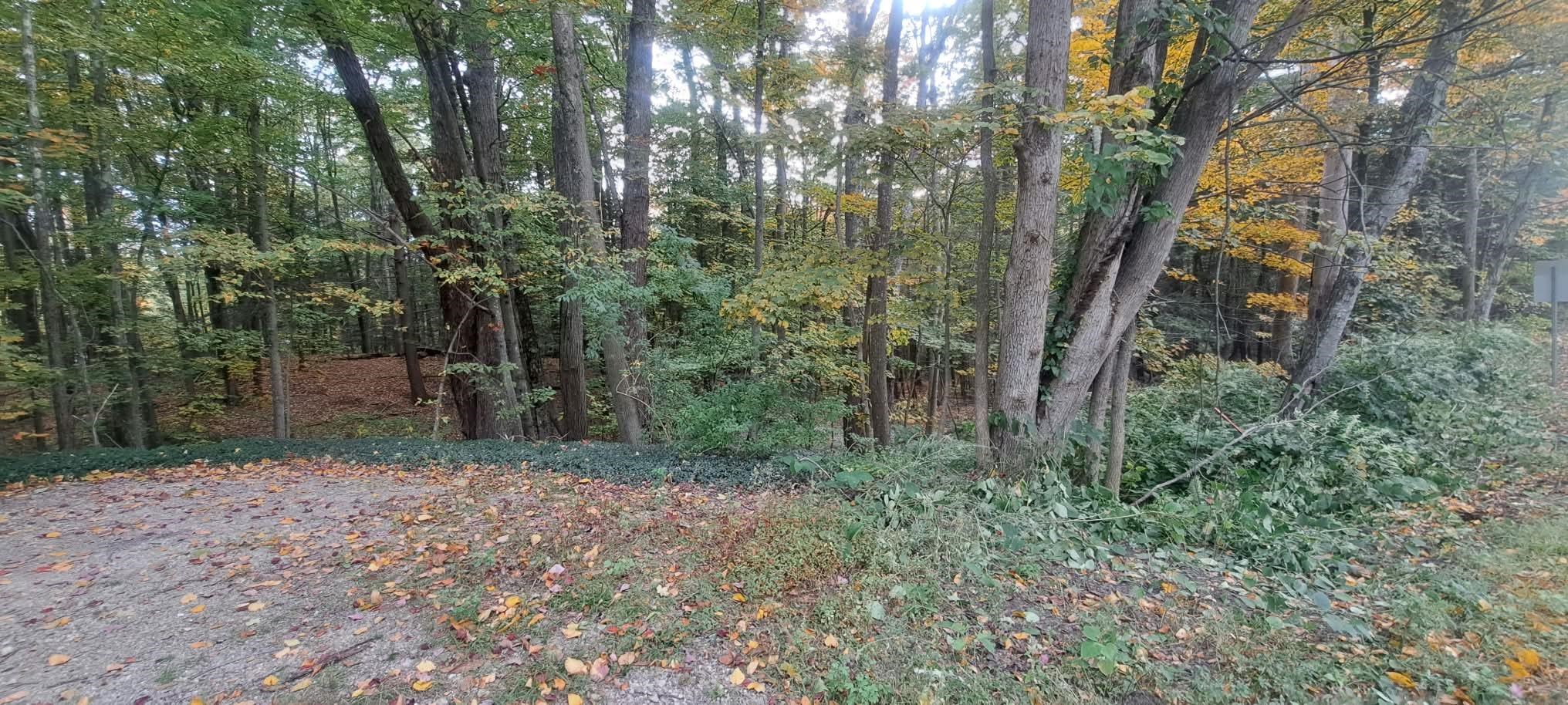 Photo 3 of Land for sale at 248 Old Turnpike Rd, Nottingham, NH 03290 | MLS# 5112891 | Listing updated on 2026-10-06