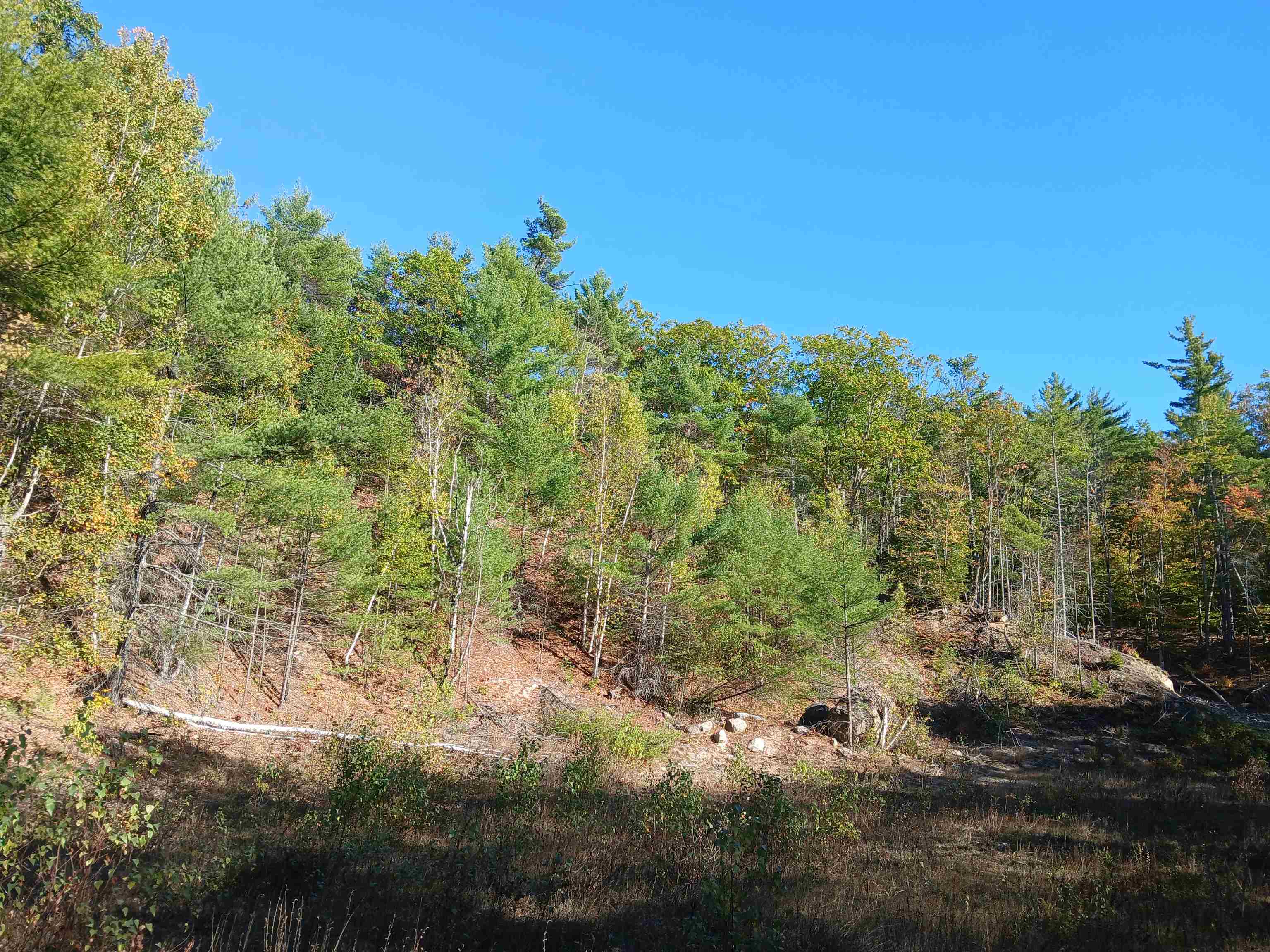 Photo 3 of Land for sale at Lot 34 Kings Hwy, New Durham, NH 03855 | MLS# 5112897 | Listing updated on 2026-10-06