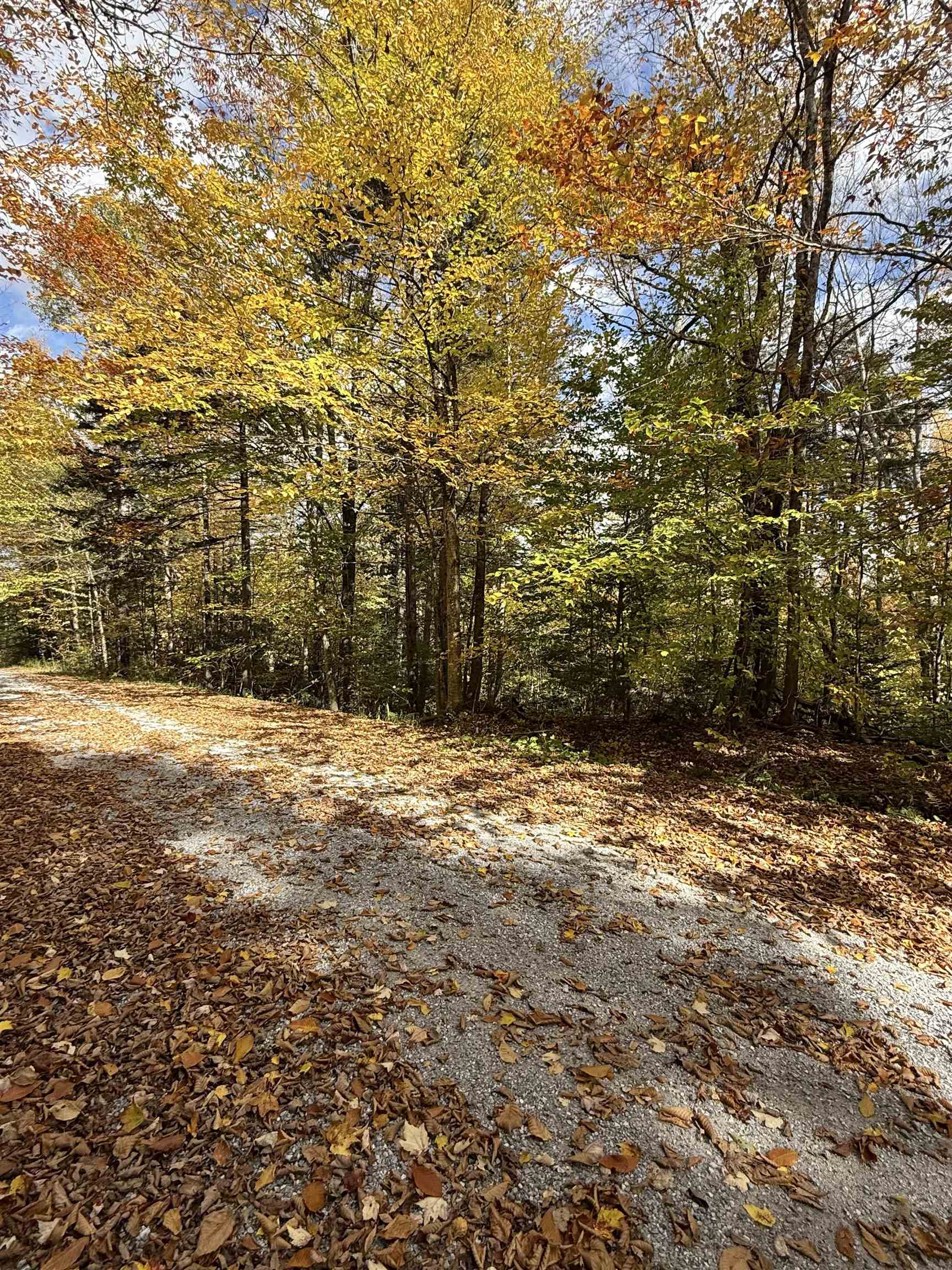 Photo 2 of Land for sale at 0 Okemo Way, Mount Holly, VT 05758 | MLS# 5113097 | Listing updated on 2026-10-08